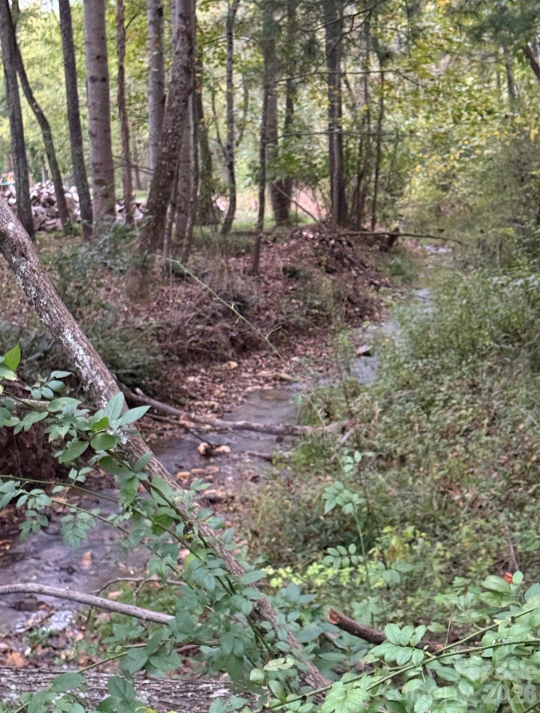 00000 Worley Cove Road - Photo 10