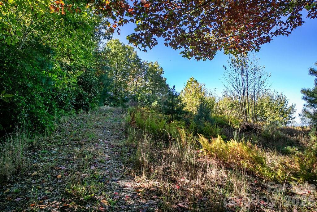 TBD Rock Face Road #L299 - Photo 6