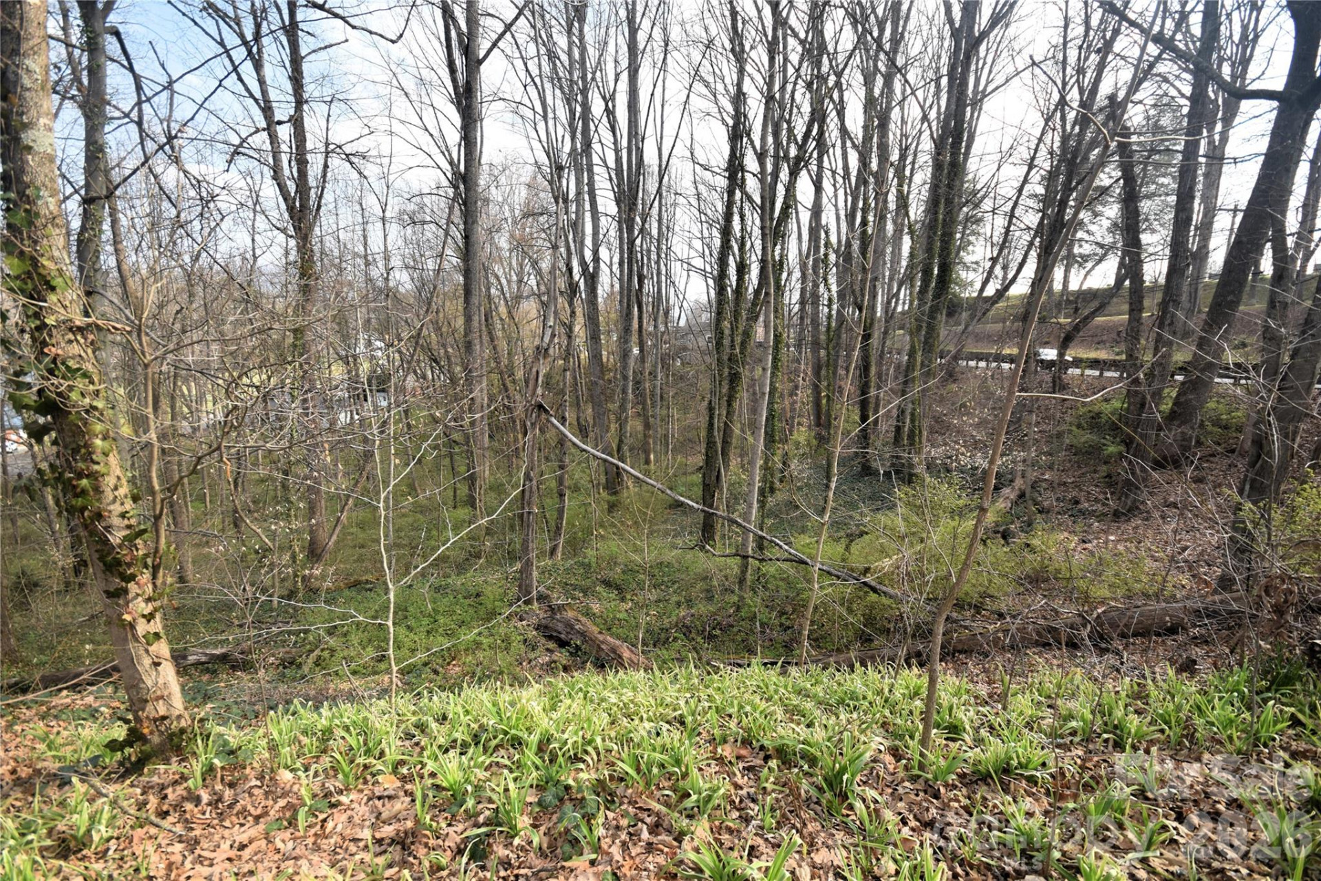 0000 S Main Street - Photo 3