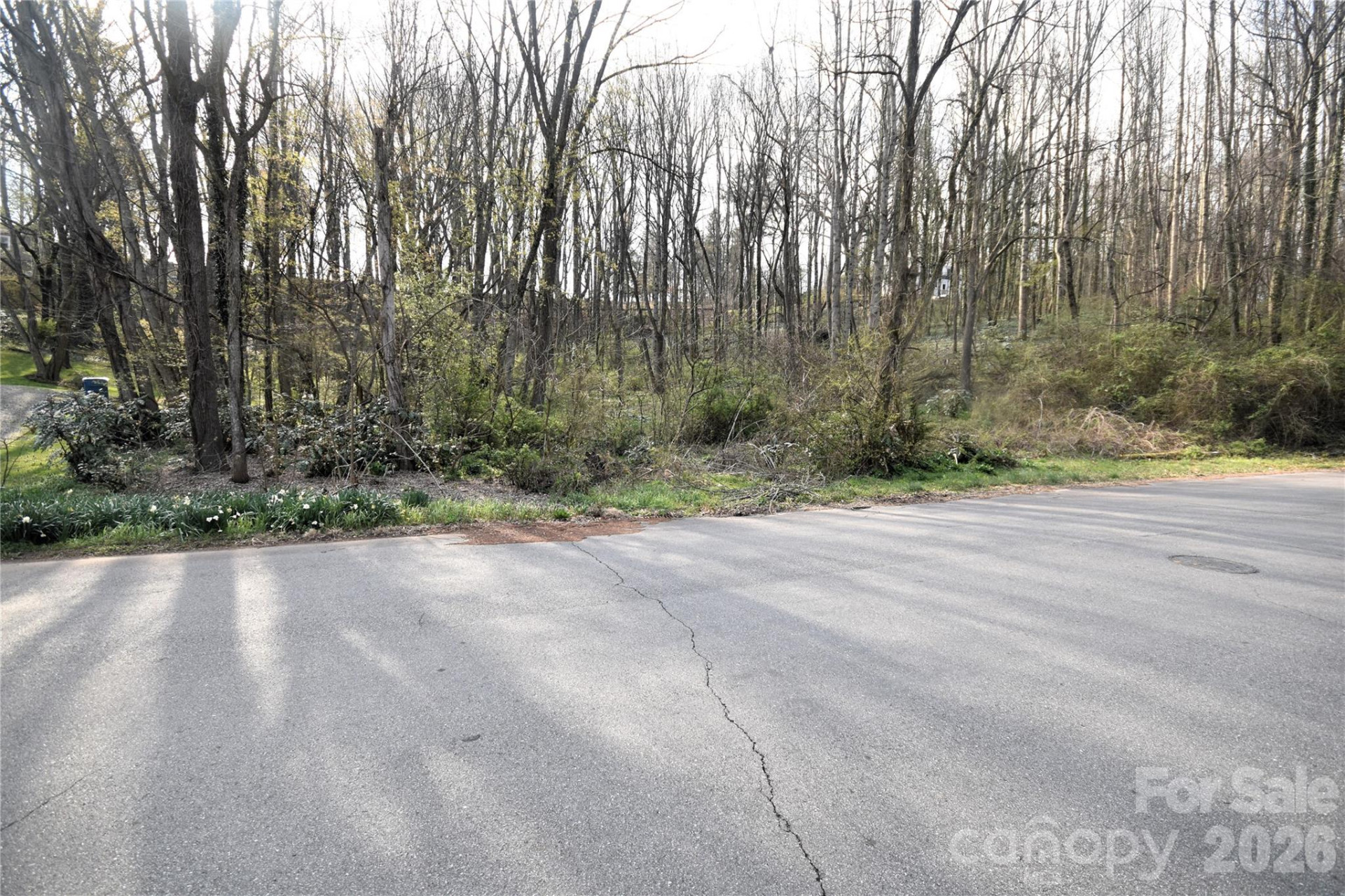 0000 S Main Street - Photo 4