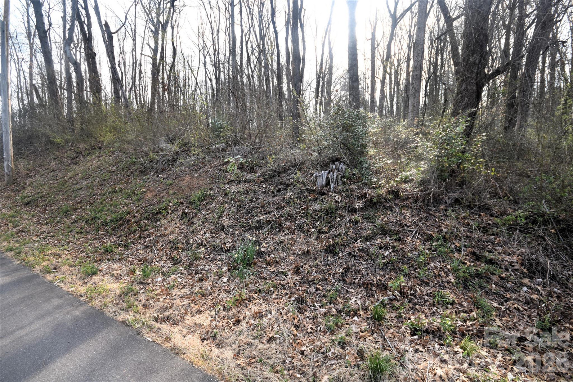 0000 S Main Street - Photo 6