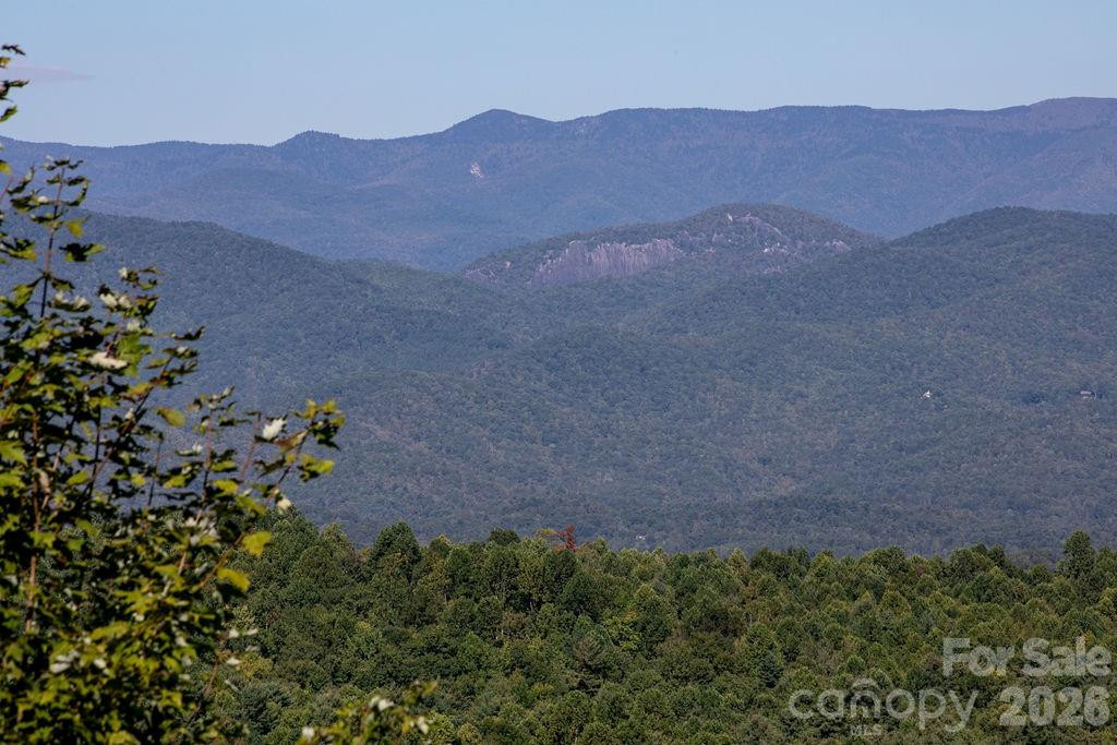 TBD Rock Face Road #L298 - Photo 5