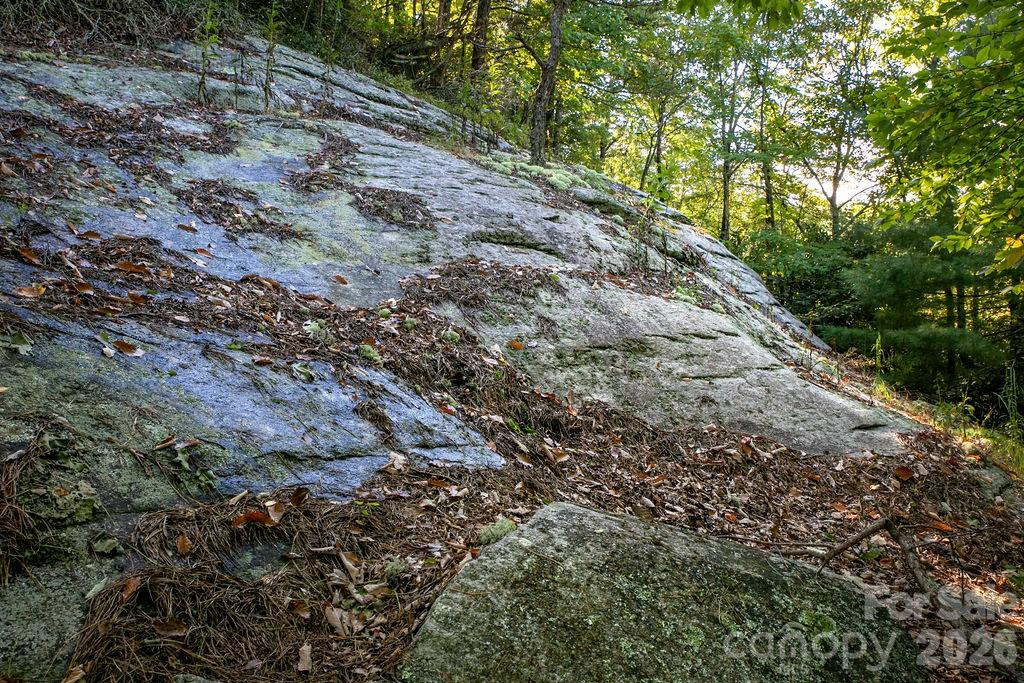 TBD Rock Face Road #L298 - Photo 9