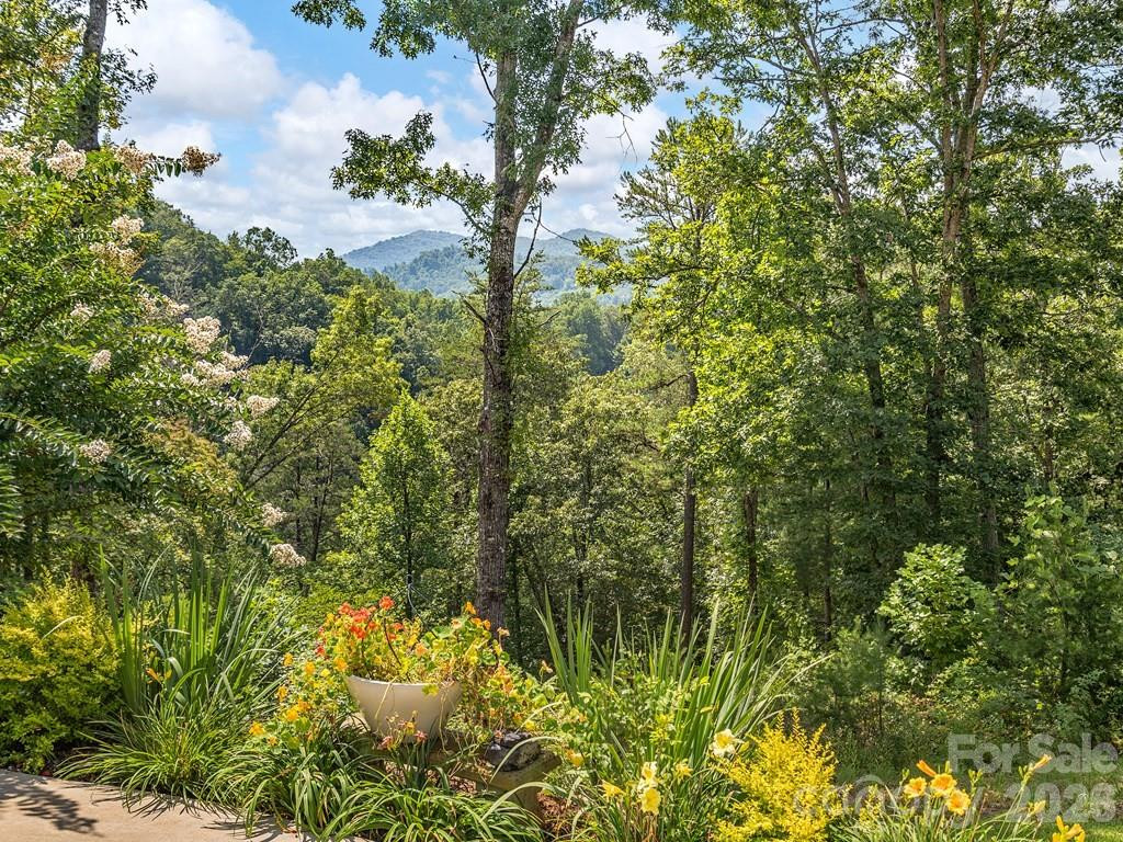 117 Amberleaf Way - Photo 7