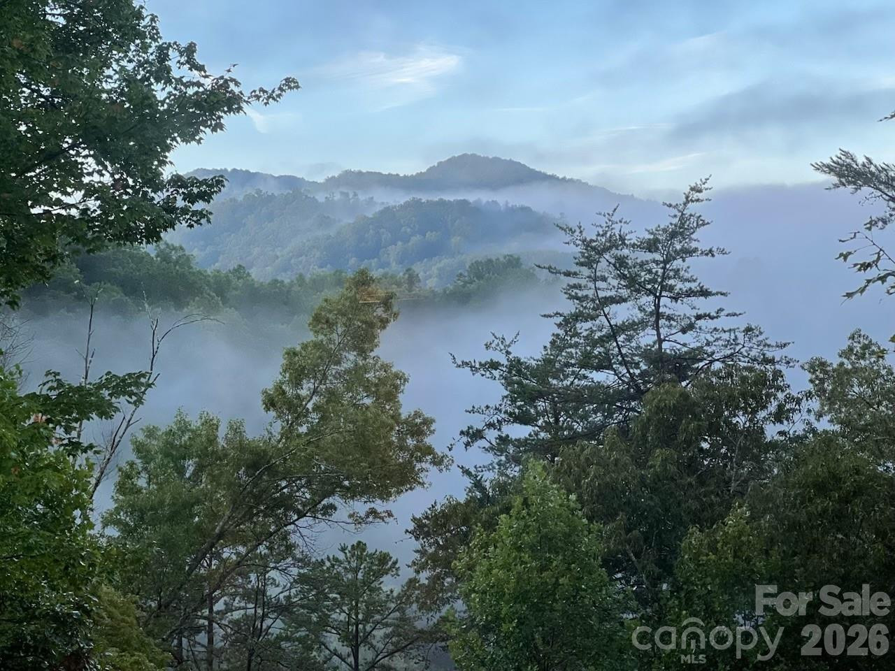 117 Amberleaf Way - Photo 8