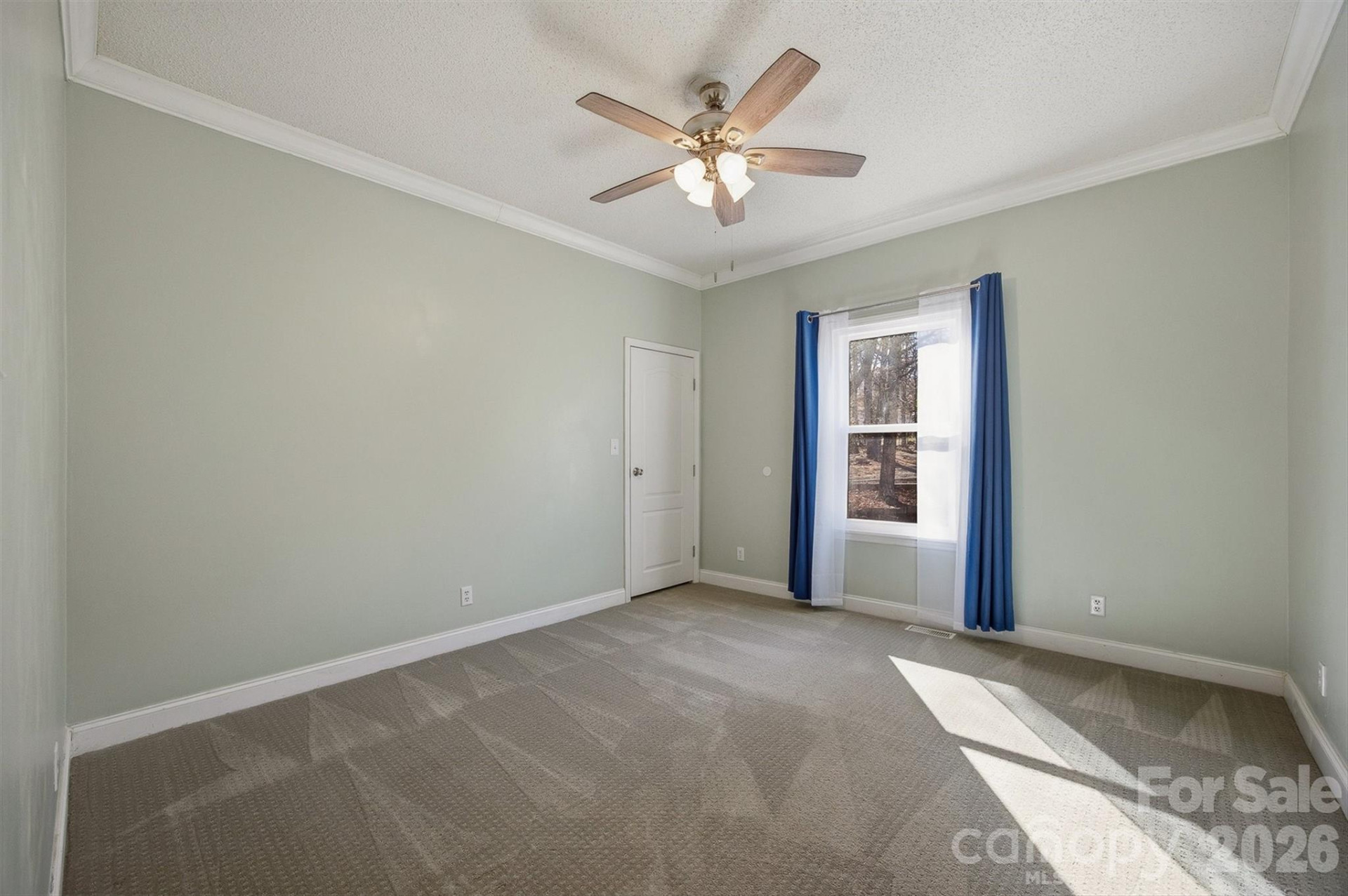 3053 Dalton Drive #31/38/39 - Photo 16