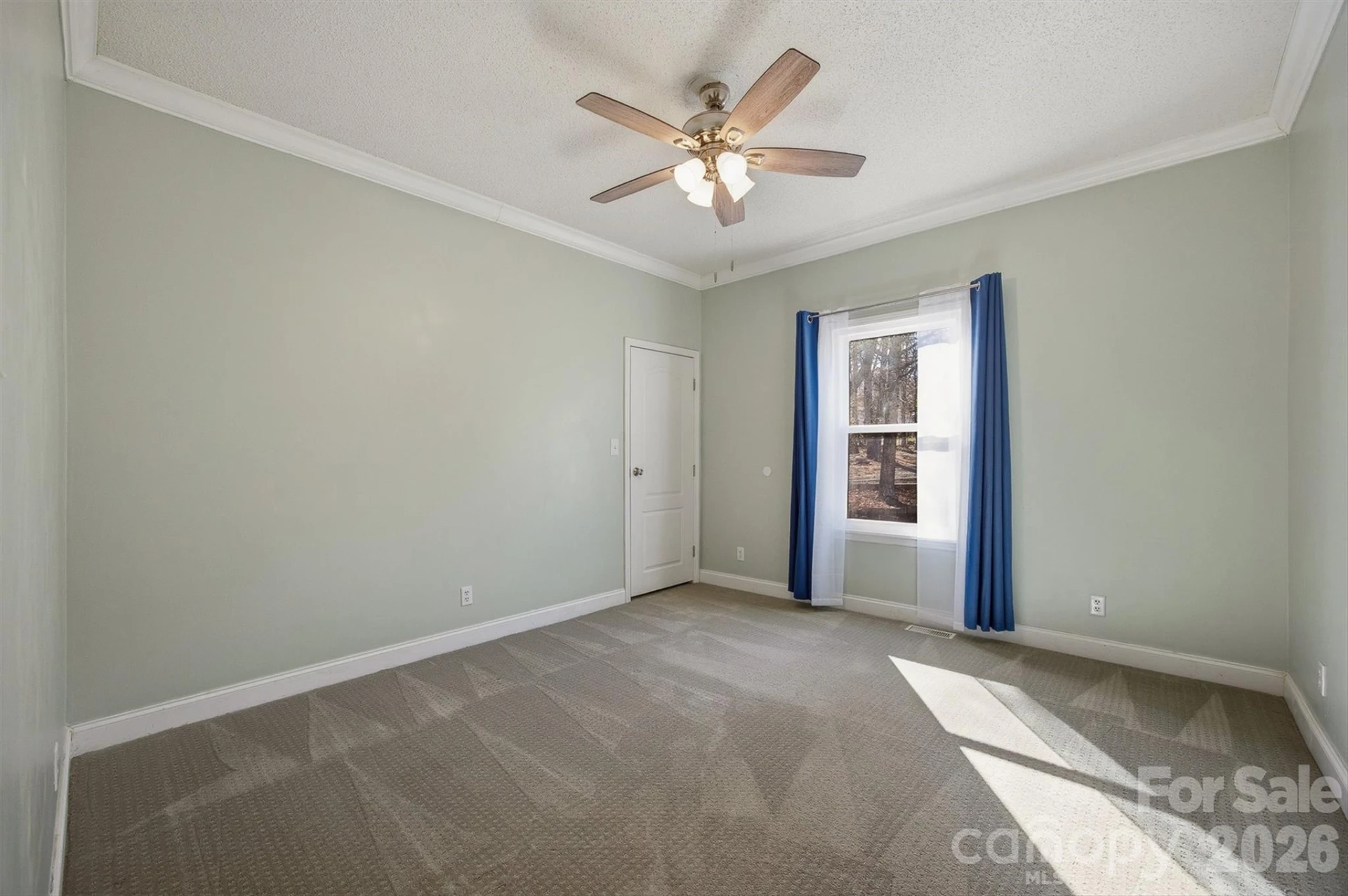 3053 Dalton Drive #31/38/39 - Photo 16