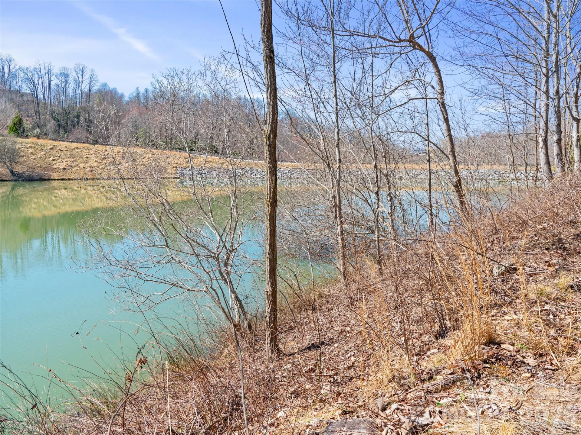 82 Narrows Run Loop - Photo 11