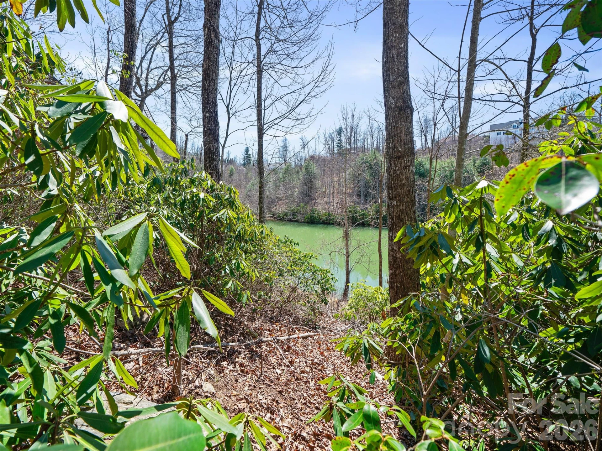 82 Narrows Run Loop - Photo 12
