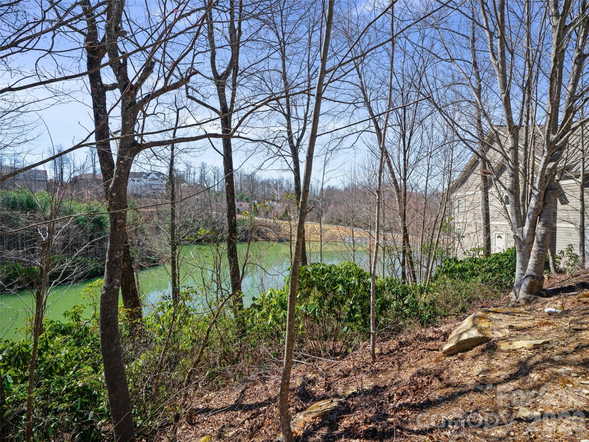 82 Narrows Run Loop - Photo 13