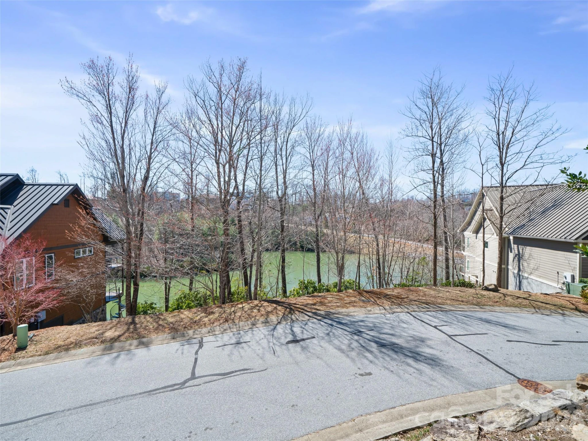 82 Narrows Run Loop - Photo 15
