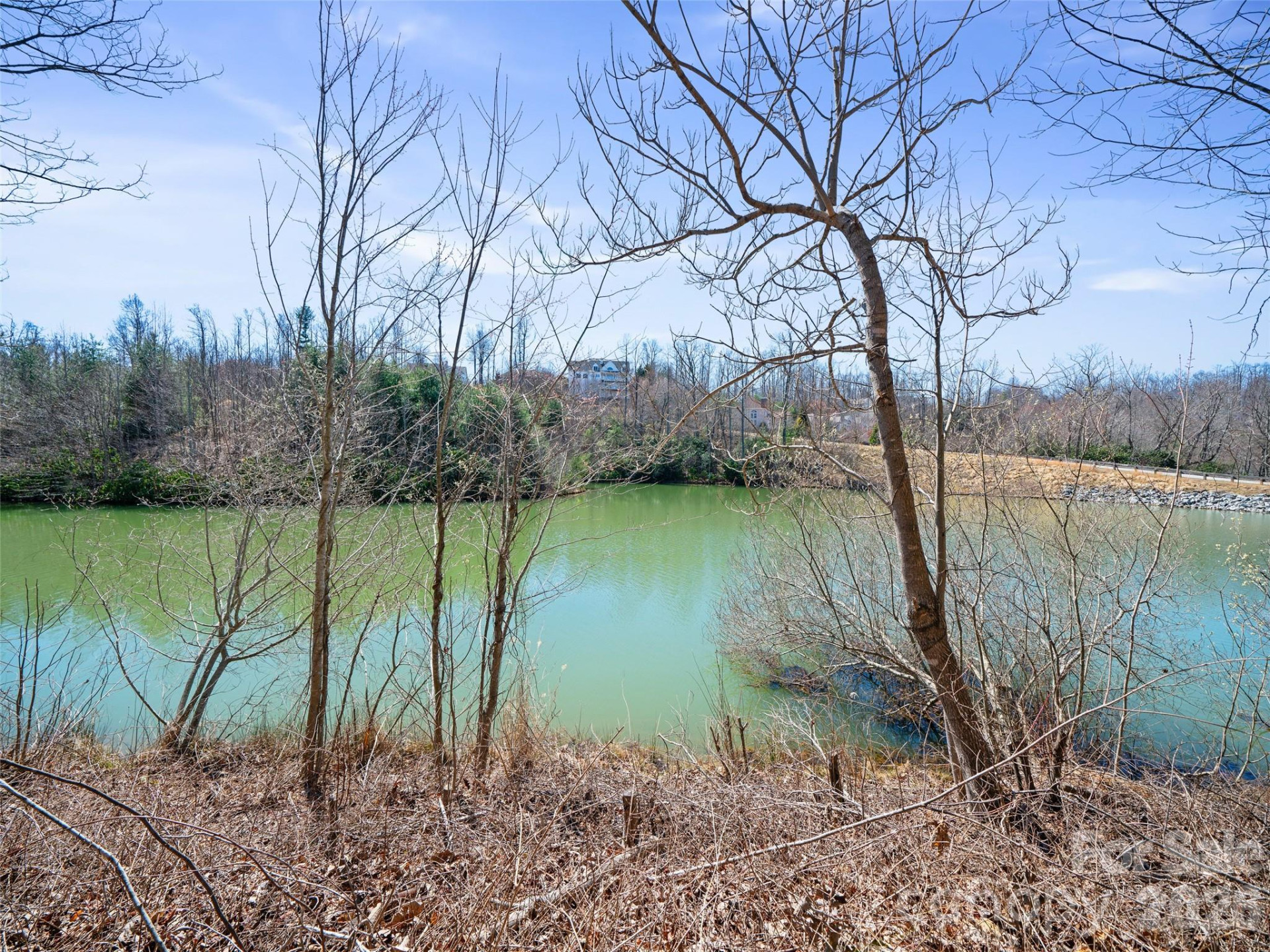 82 Narrows Run Loop - Photo 3