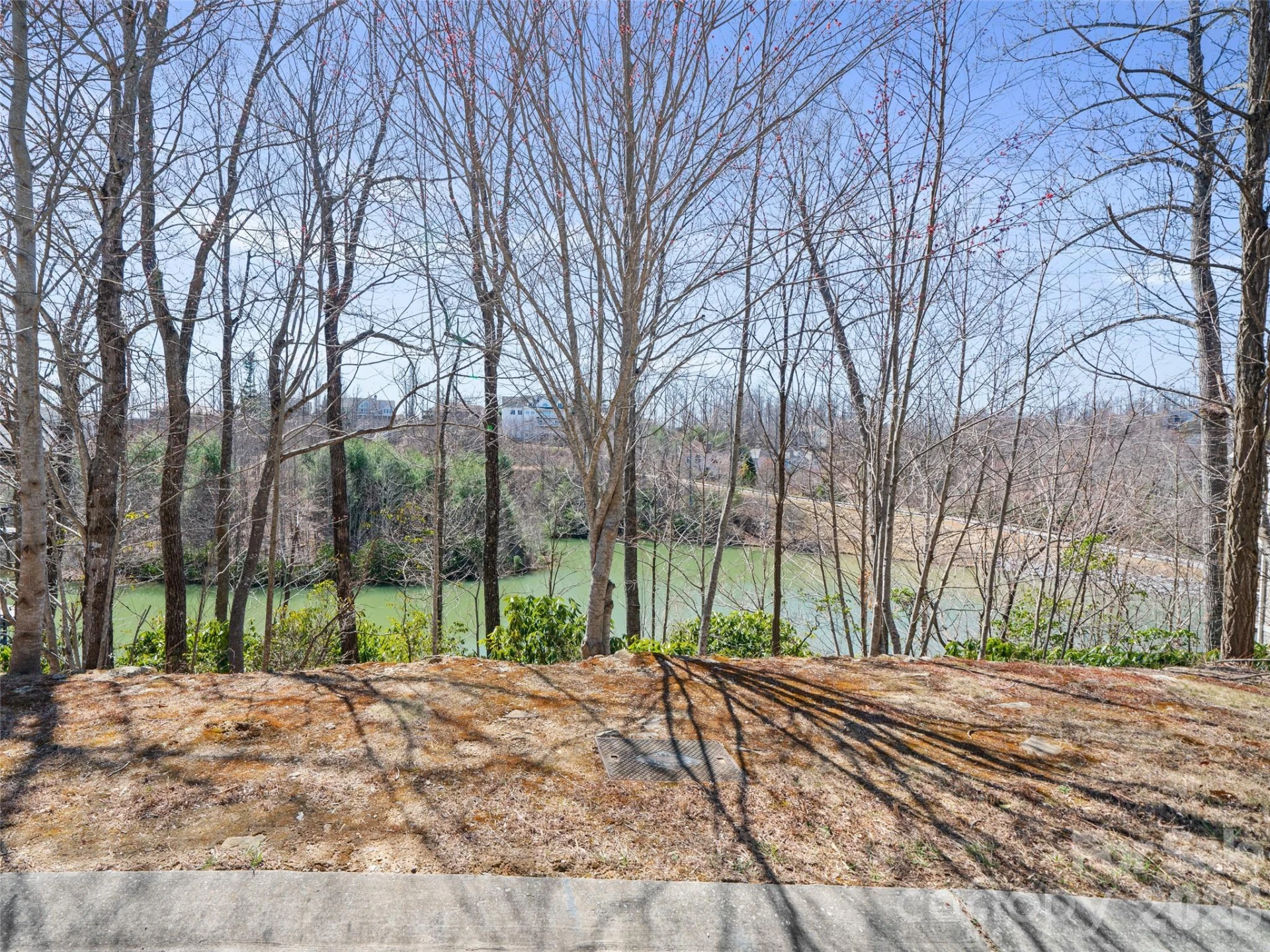 82 Narrows Run Loop - Photo 4