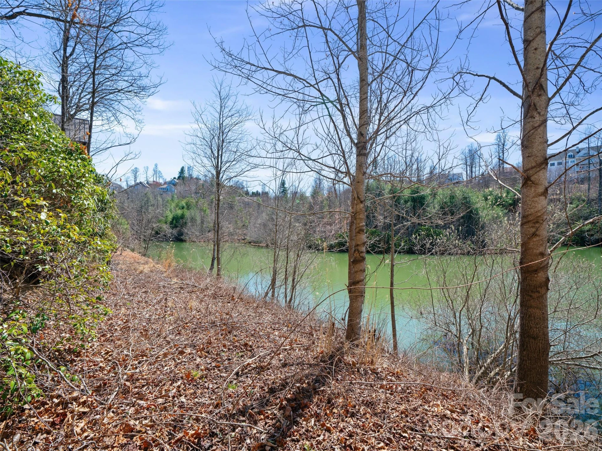82 Narrows Run Loop - Photo 5