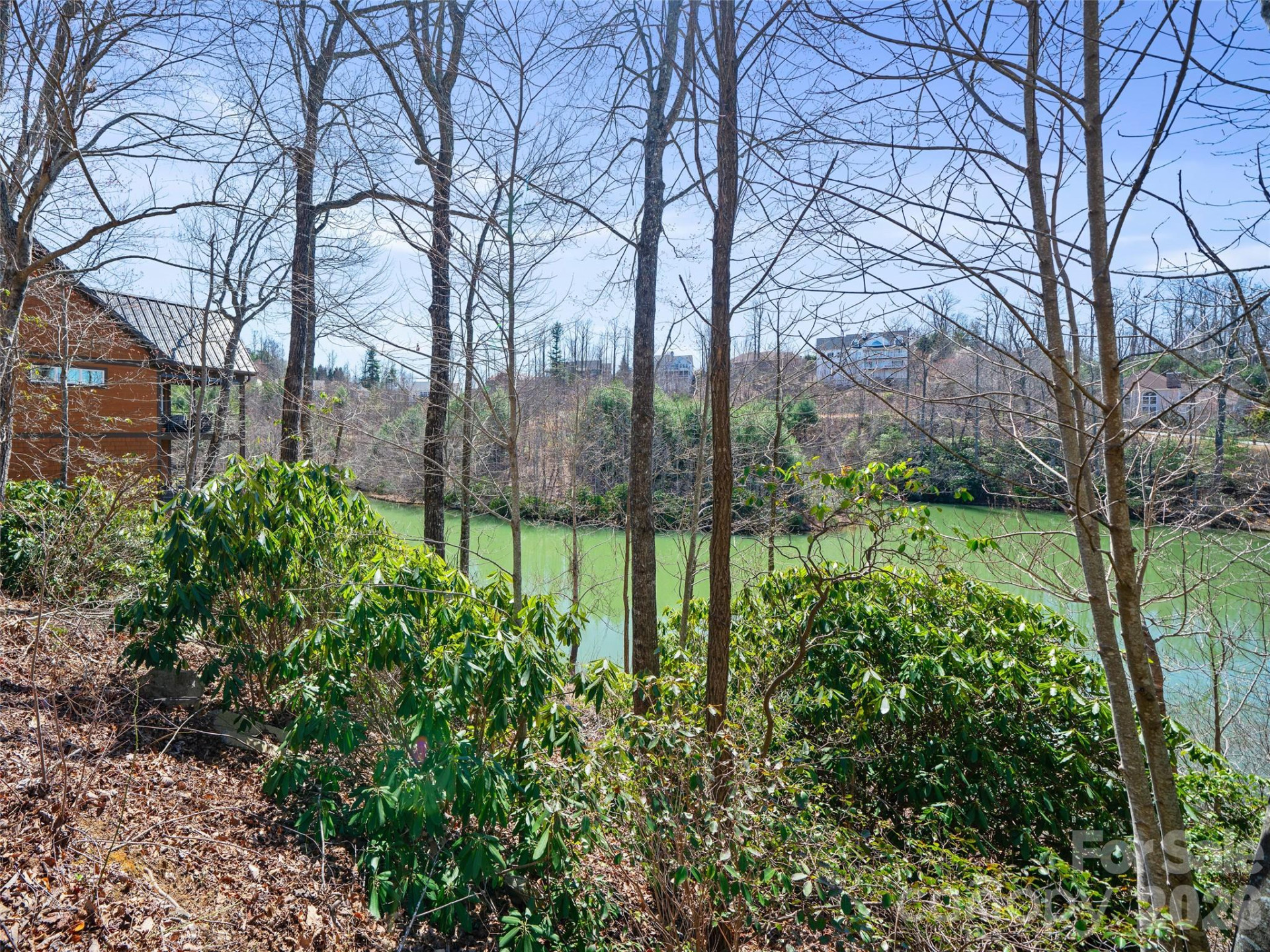 82 Narrows Run Loop - Photo 6