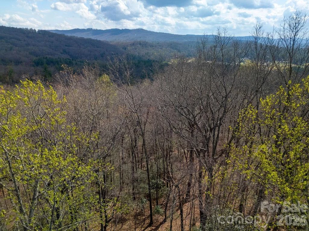 558 Poplar Crest Drive - Photo 48