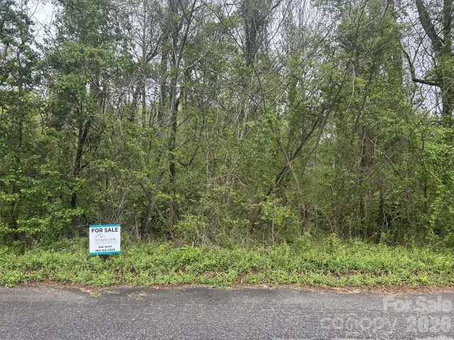0 Lynnbrook Way, Columbus, NC, 28722