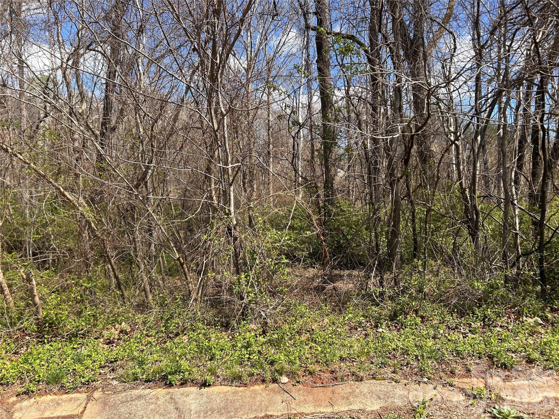 0 Lynnbrook Way - Photo 4