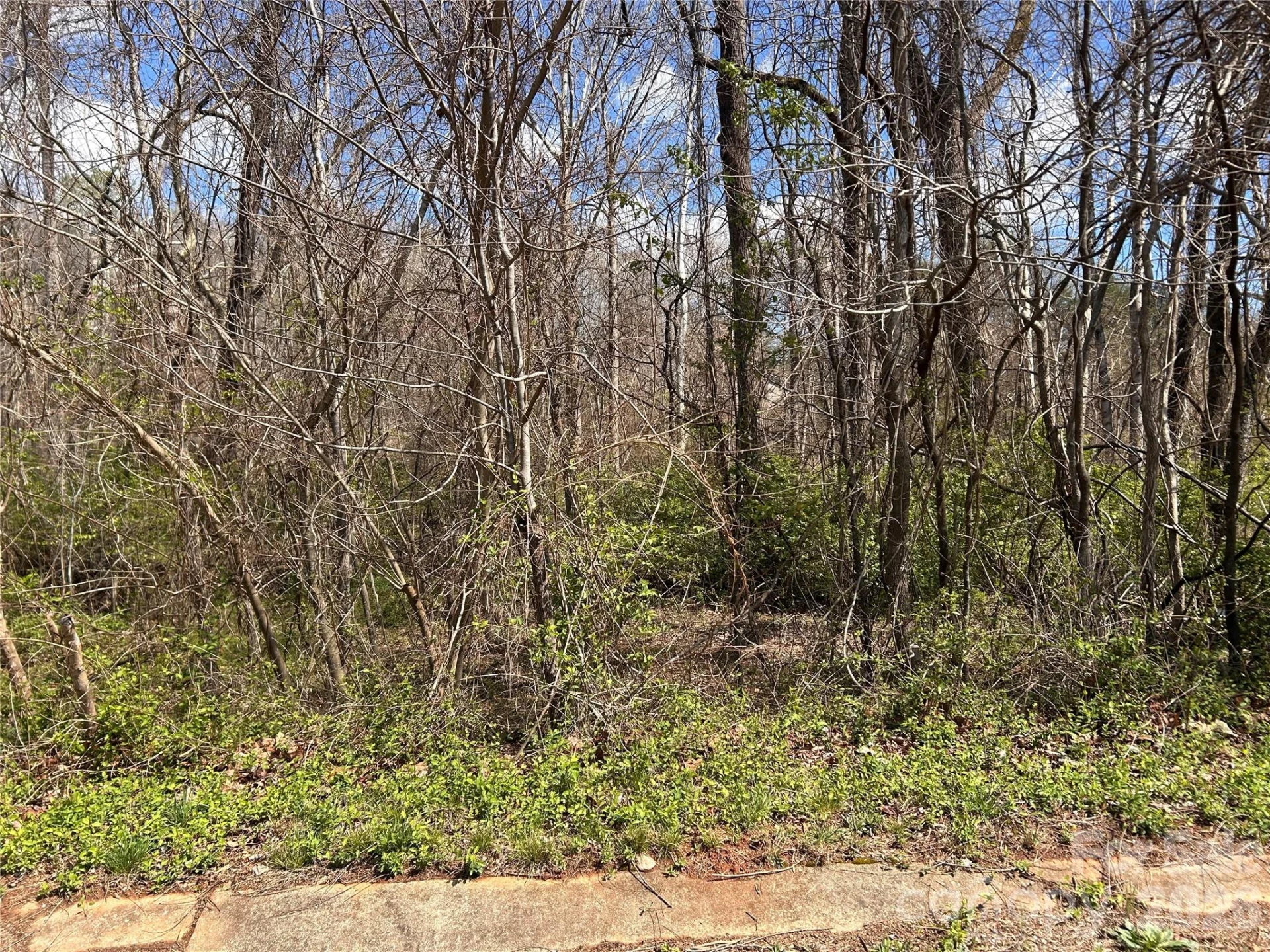 0 Lynnbrook Way - Photo 4