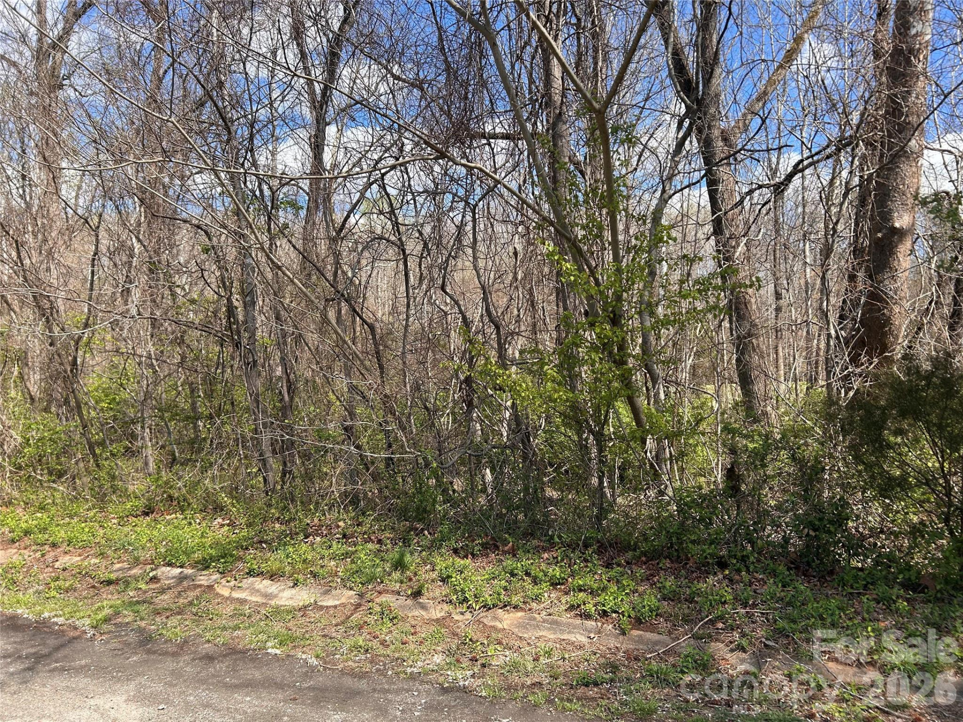 0 Lynnbrook Way - Photo 5