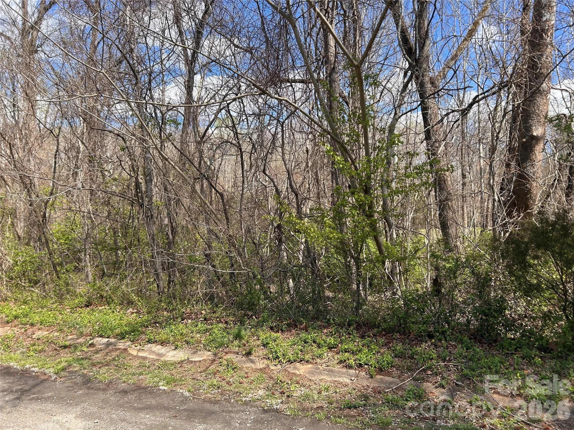 0 Lynnbrook Way - Photo 5