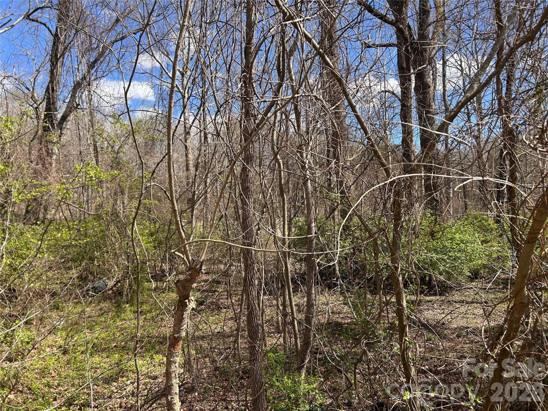 0 Lynnbrook Way - Photo 6