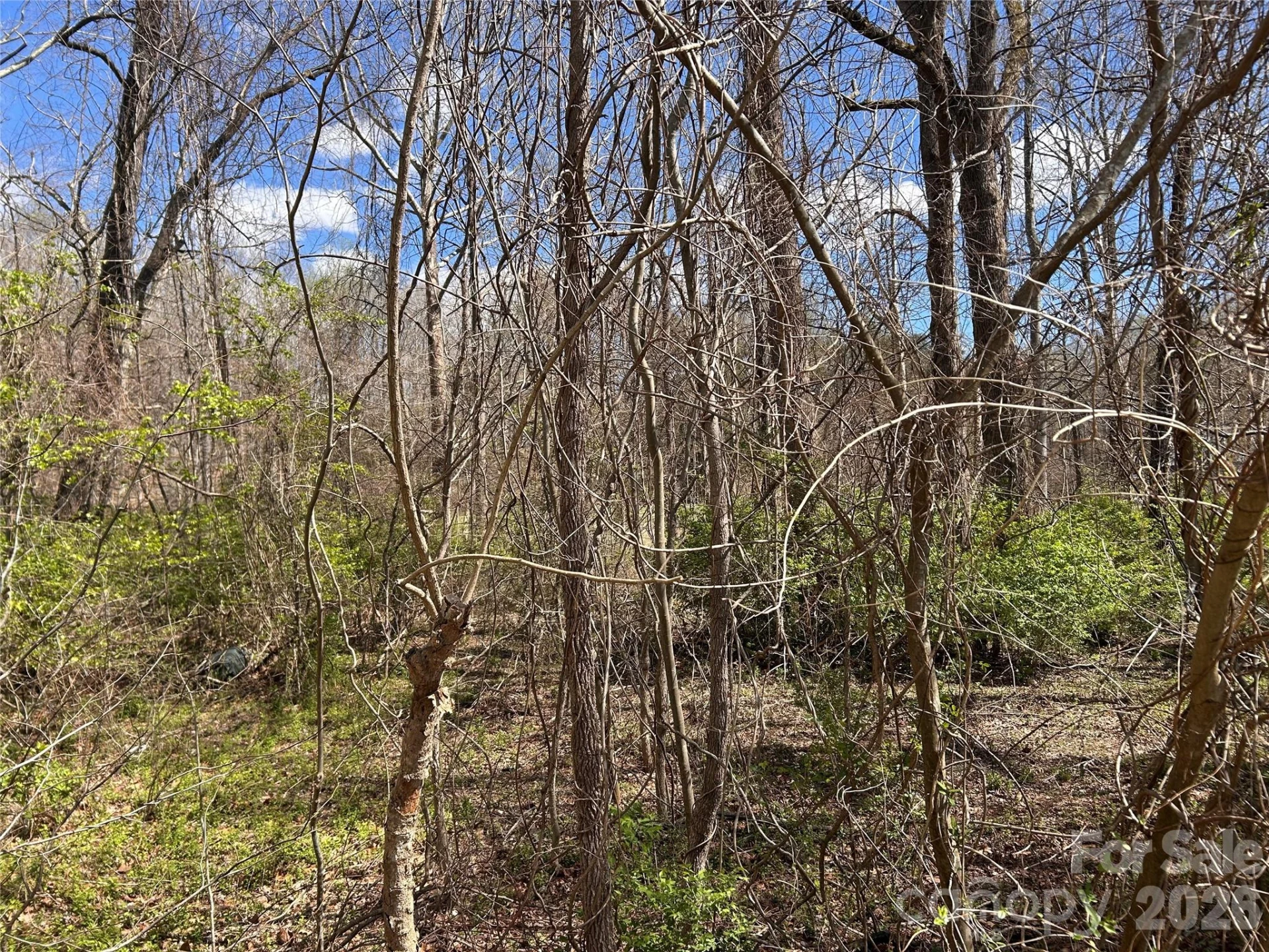 0 Lynnbrook Way - Photo 6