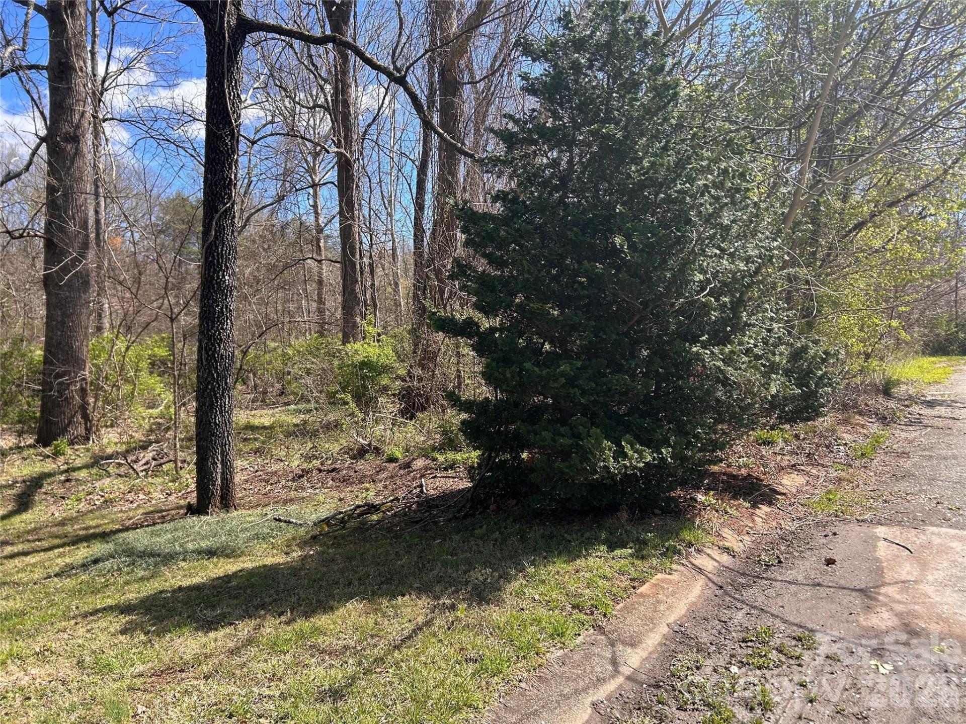 0 Lynnbrook Way - Photo 7