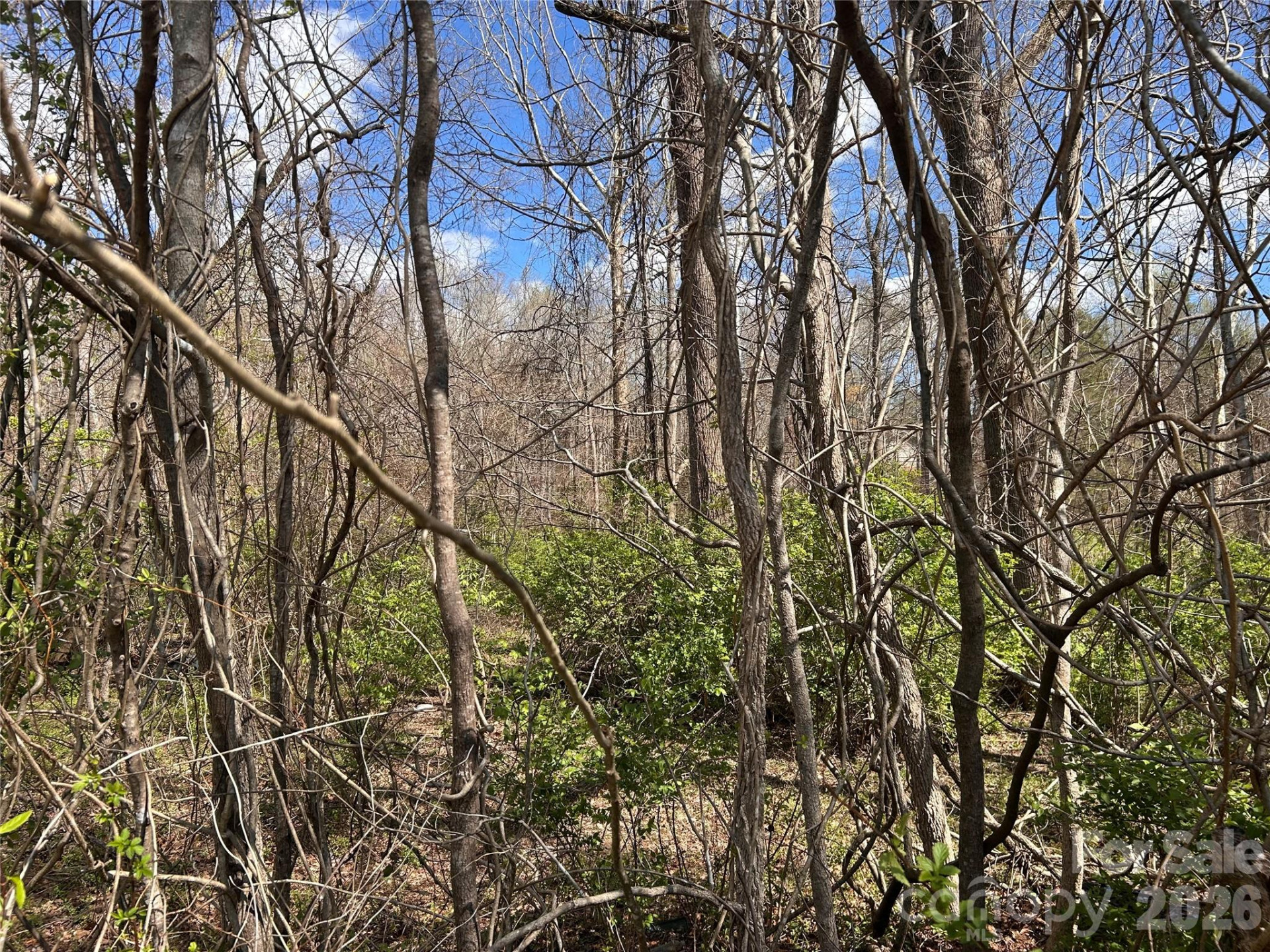 0 Lynnbrook Way - Photo 8