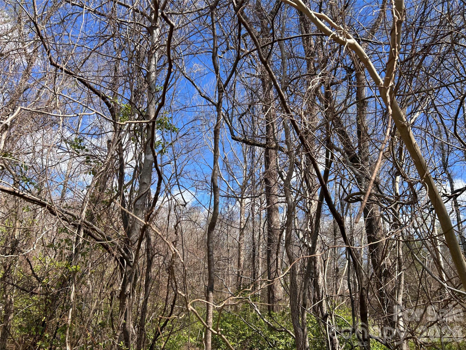 0 Lynnbrook Way - Photo 9