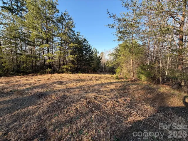 0 Shady Bark Lane, Rutherfordton, NC, 28139