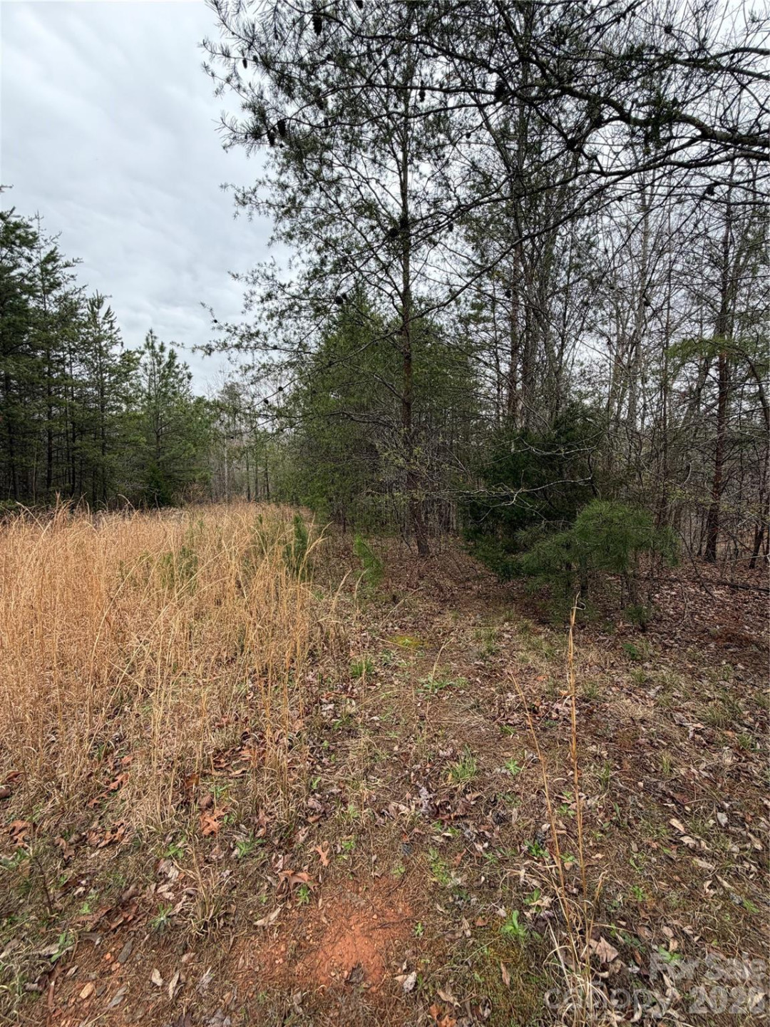 0 Shady Bark Lane #40 - Photo 11