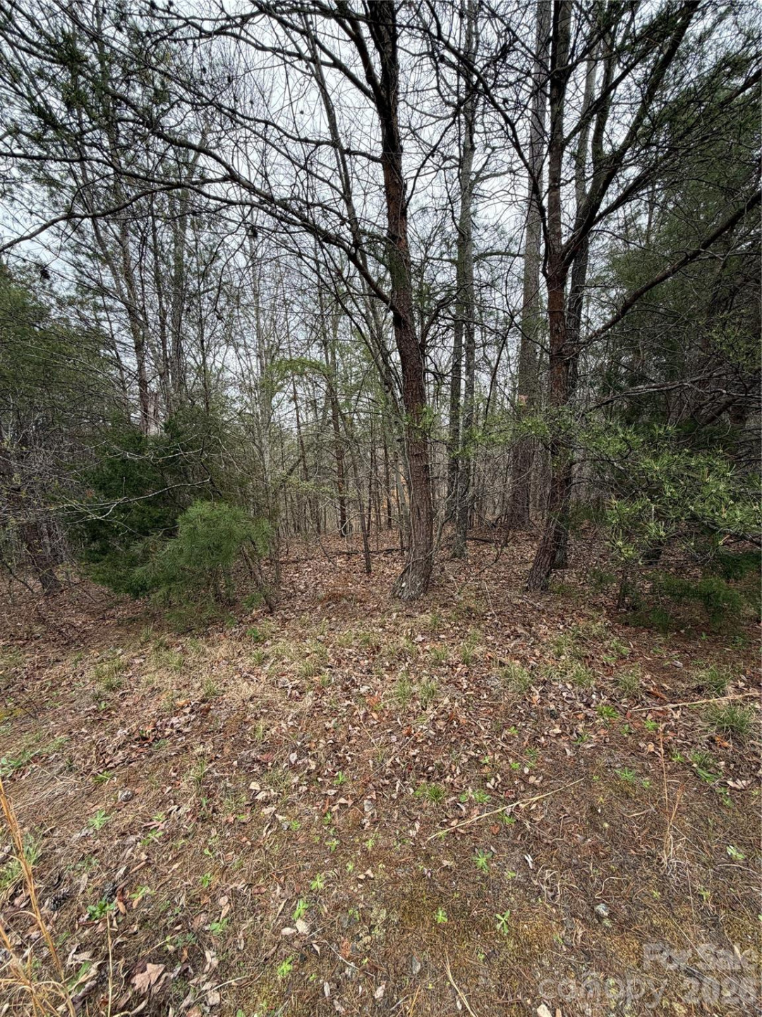 0 Shady Bark Lane #40 - Photo 12