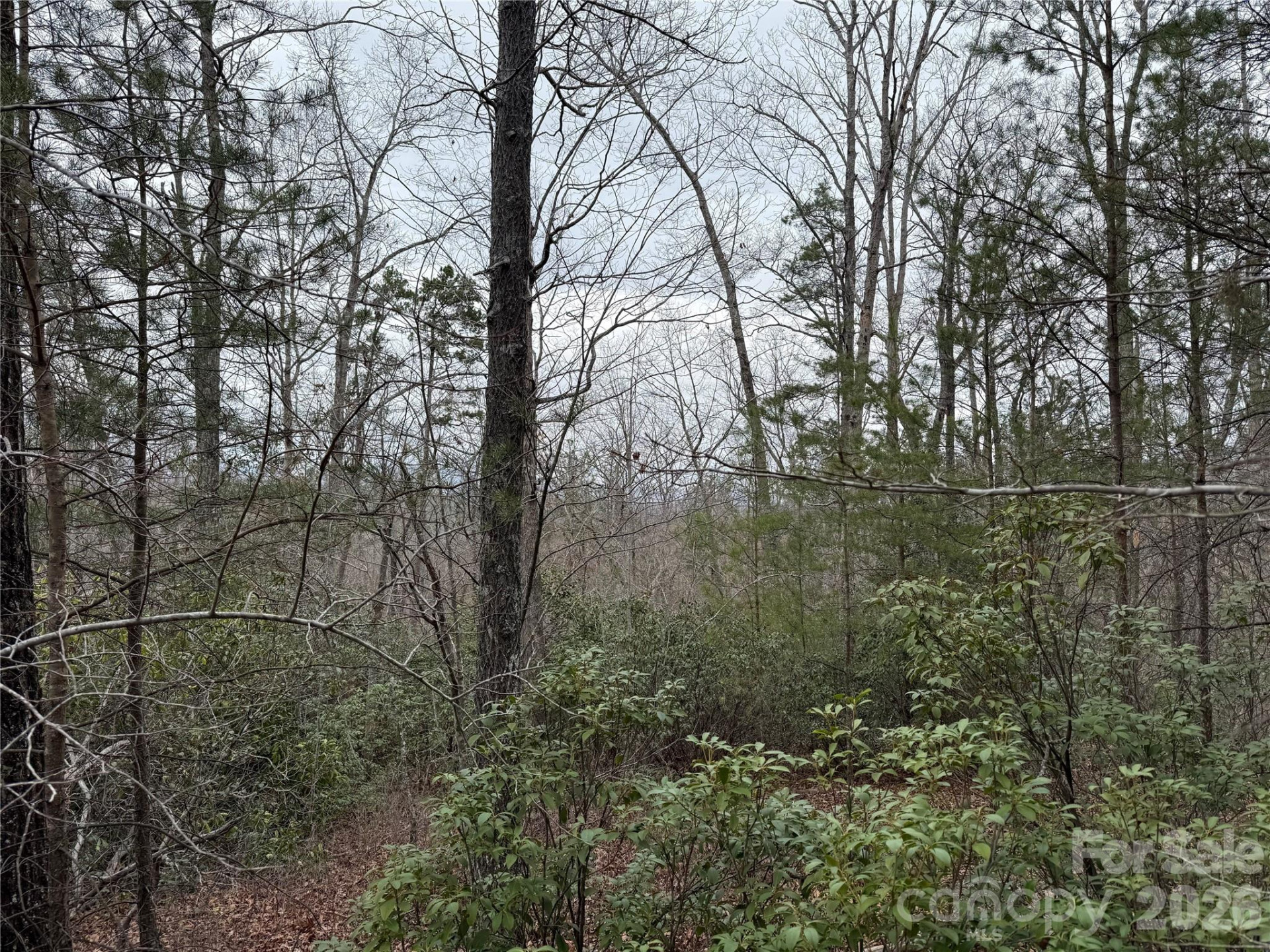 0 Shady Bark Lane #40 - Photo 14