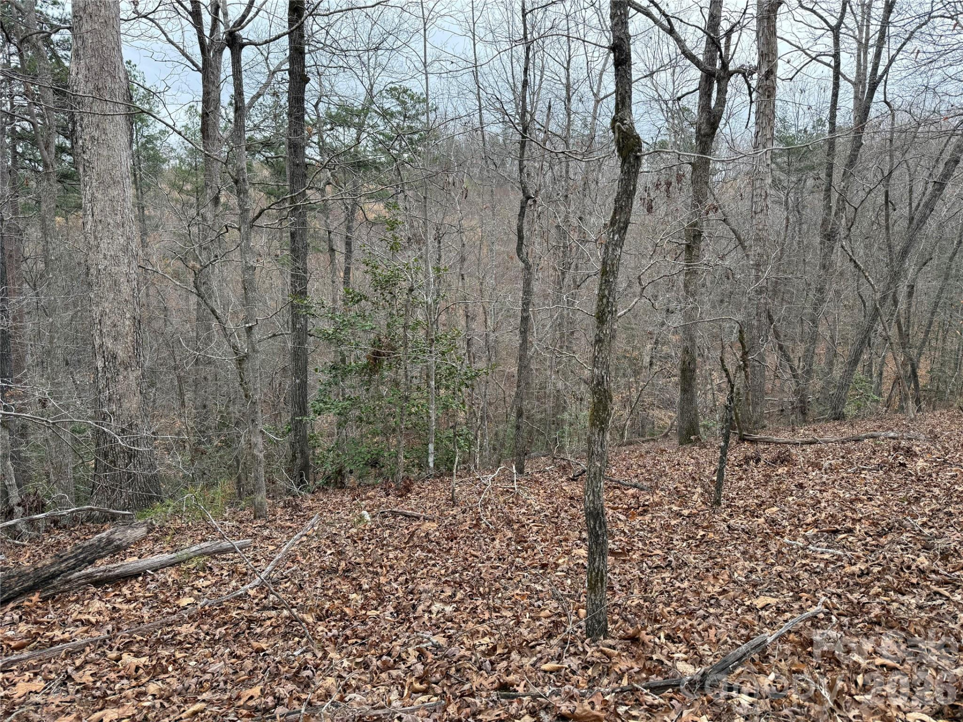 0 Shady Bark Lane #40 - Photo 15