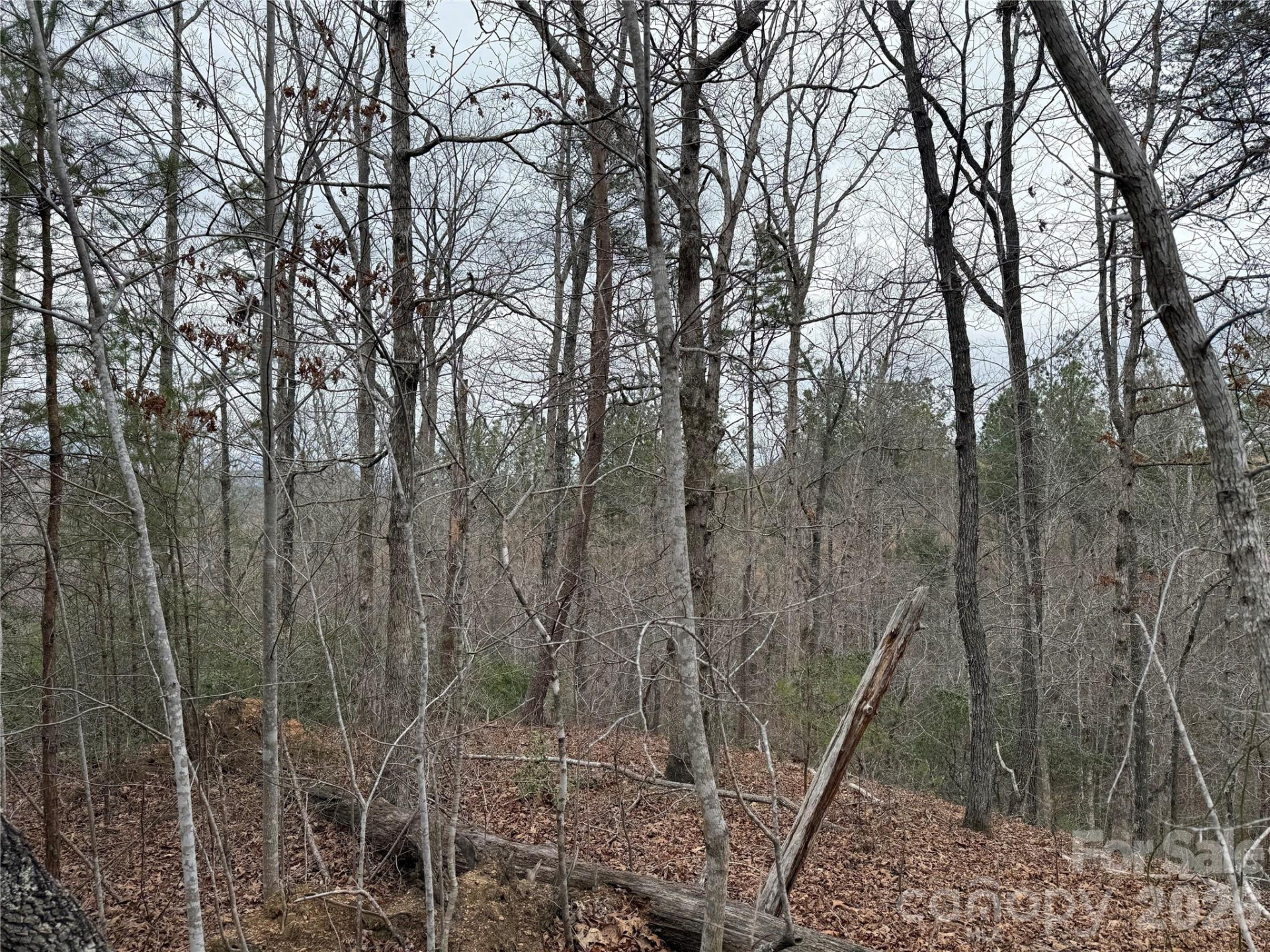 0 Shady Bark Lane #40 - Photo 16