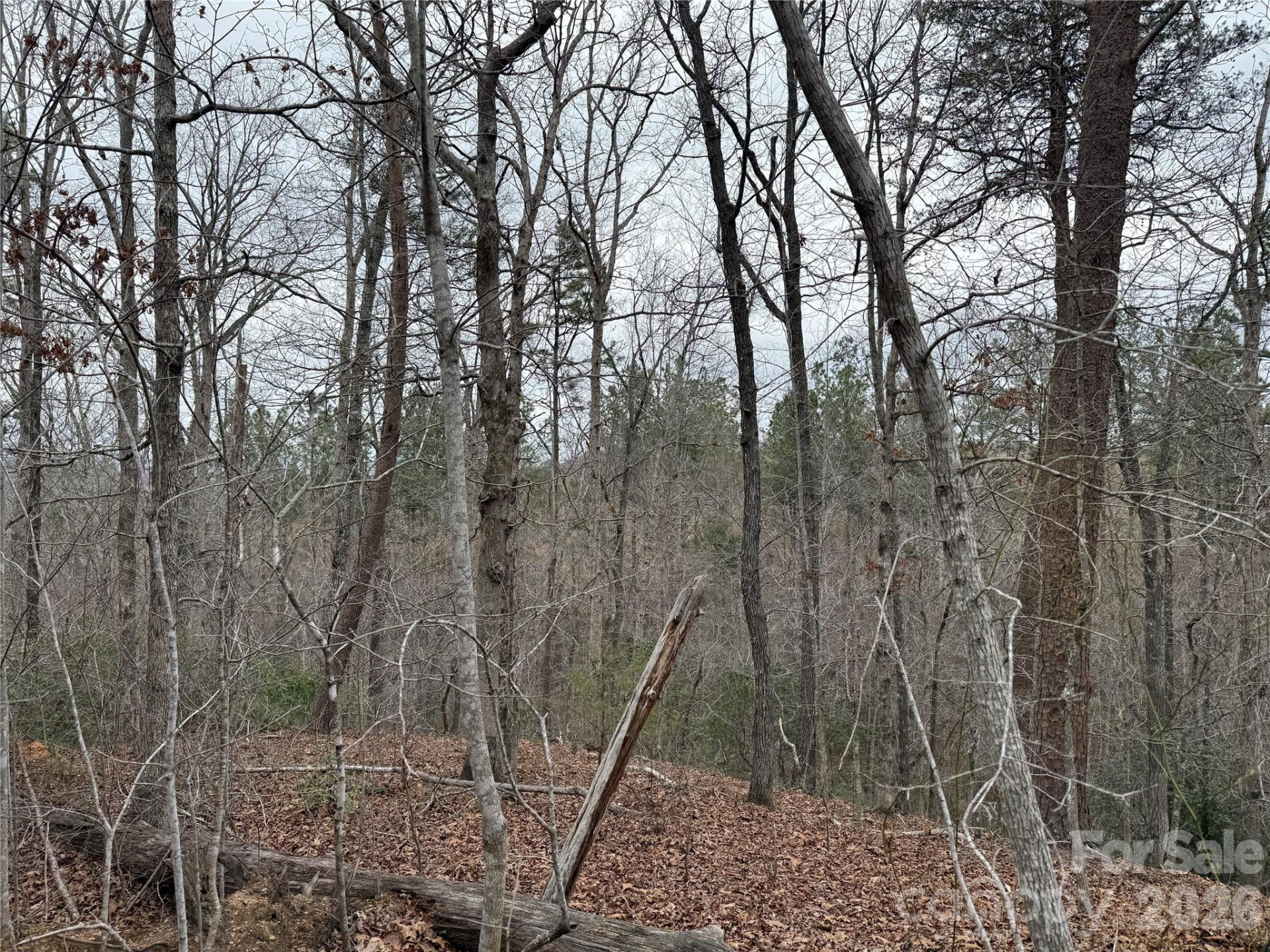 0 Shady Bark Lane #40 - Photo 17