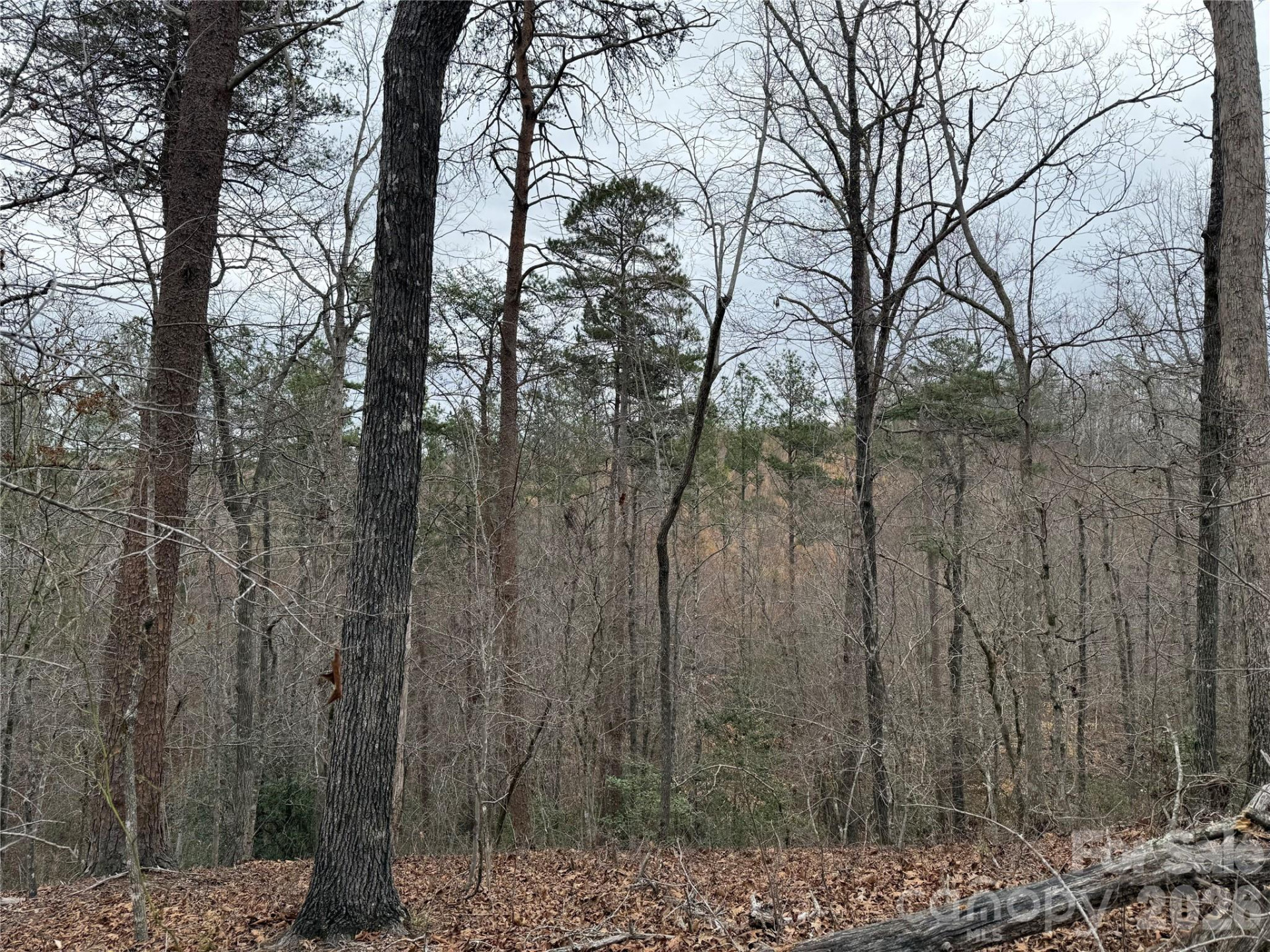 0 Shady Bark Lane #40 - Photo 18