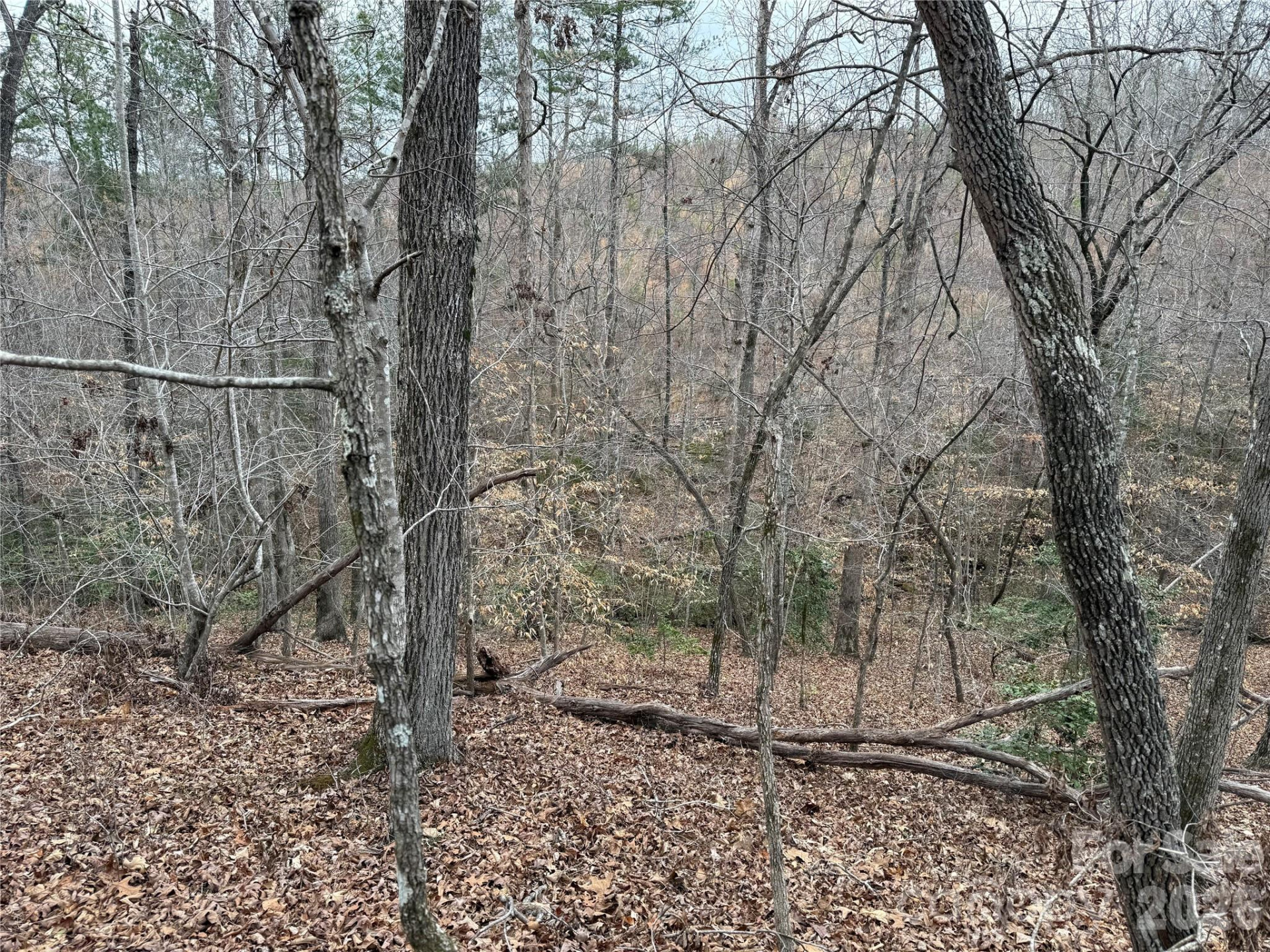 0 Shady Bark Lane #40 - Photo 20