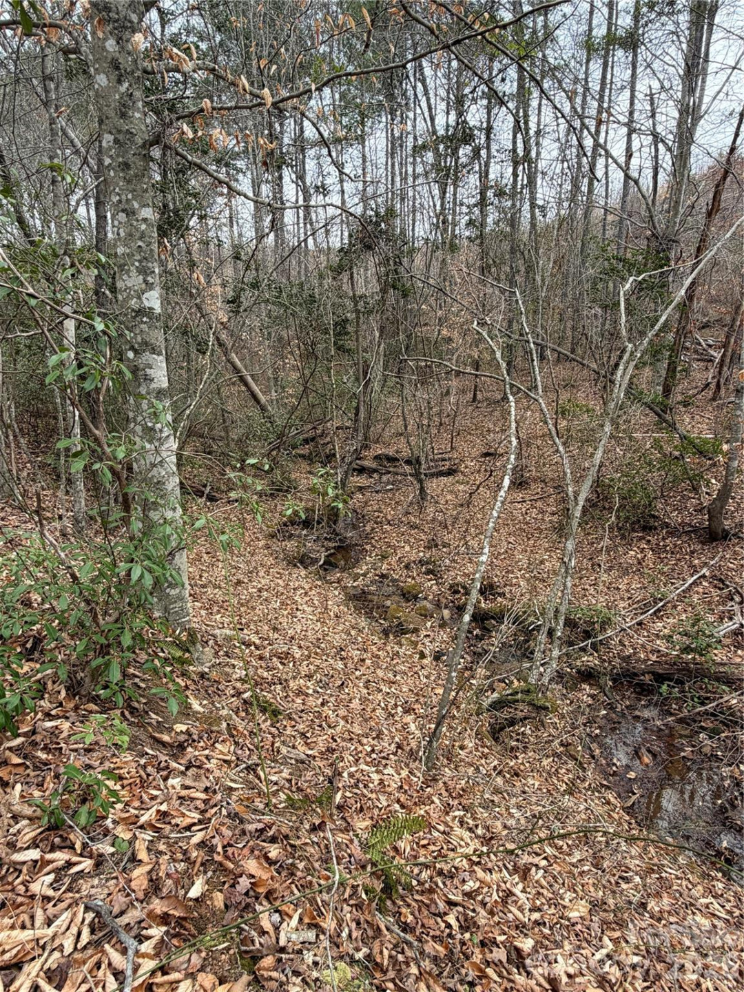 0 Shady Bark Lane #40 - Photo 3