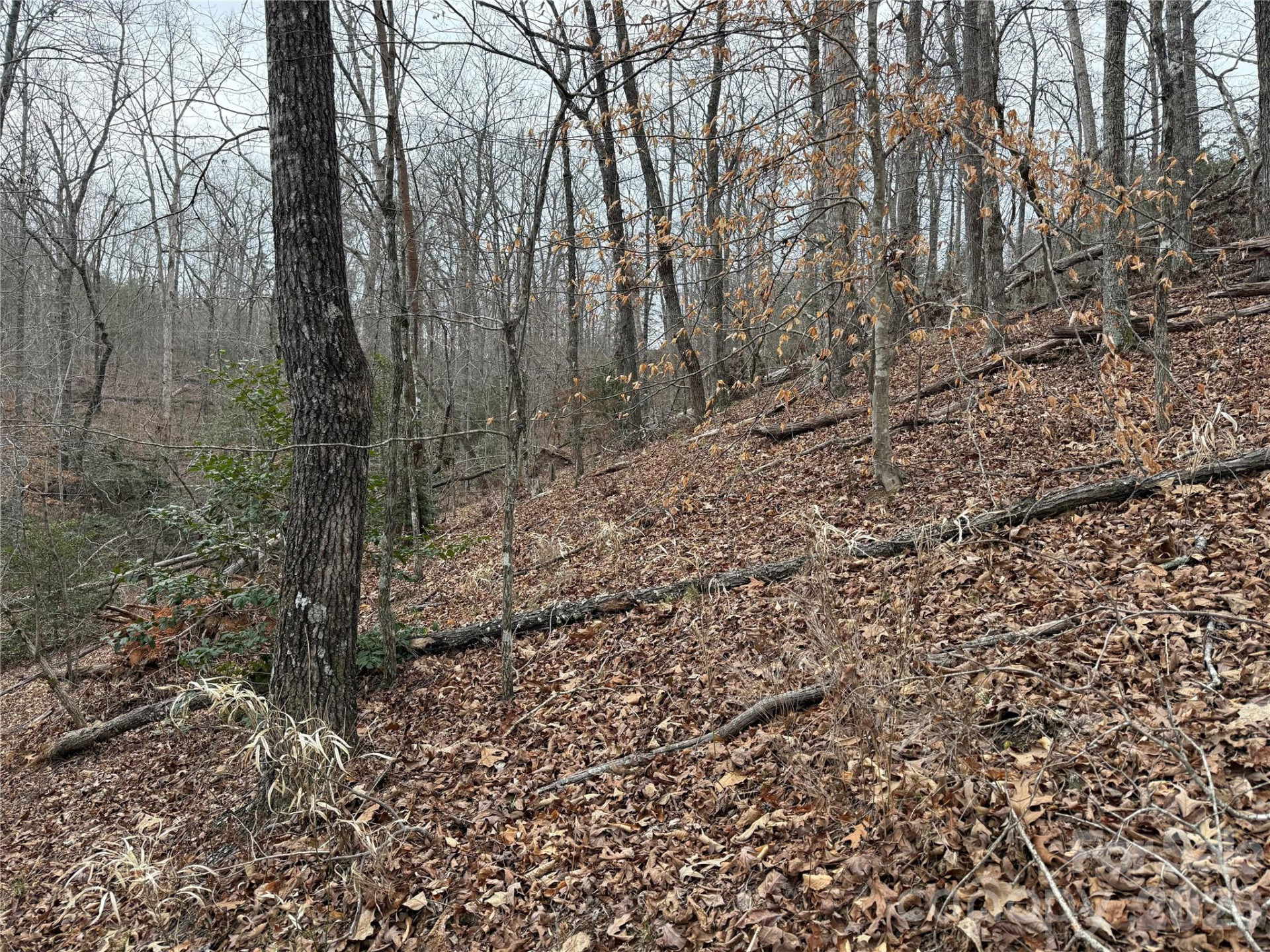 0 Shady Bark Lane #40 - Photo 21