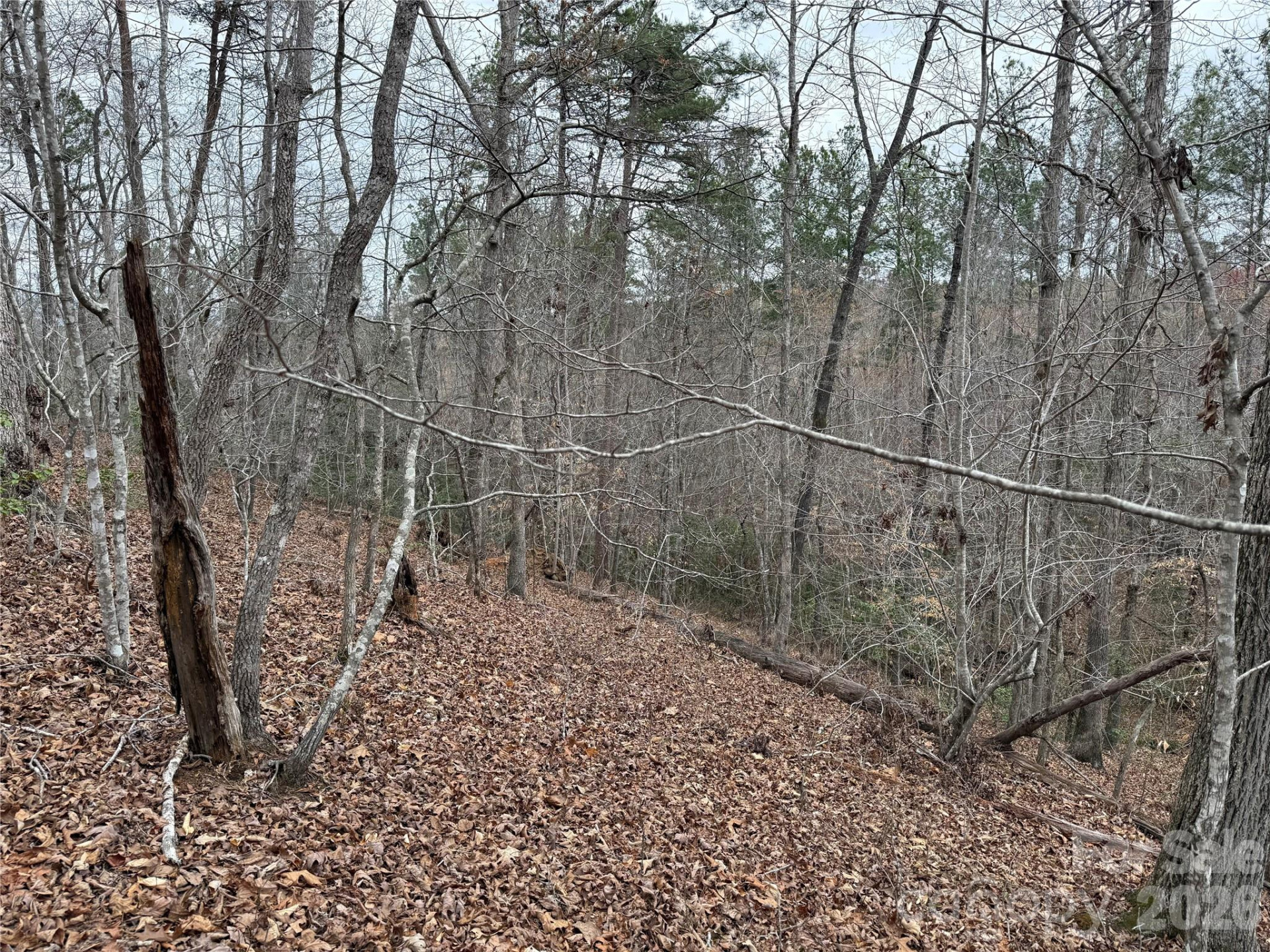 0 Shady Bark Lane #40 - Photo 22