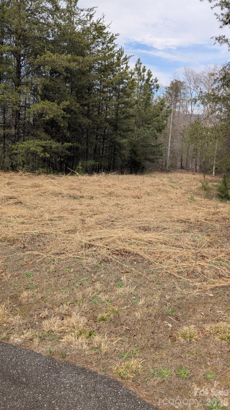 0 Shady Bark Lane #40 - Photo 23