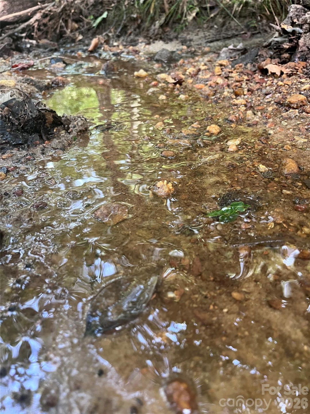 0 Shady Bark Lane #40 - Photo 26