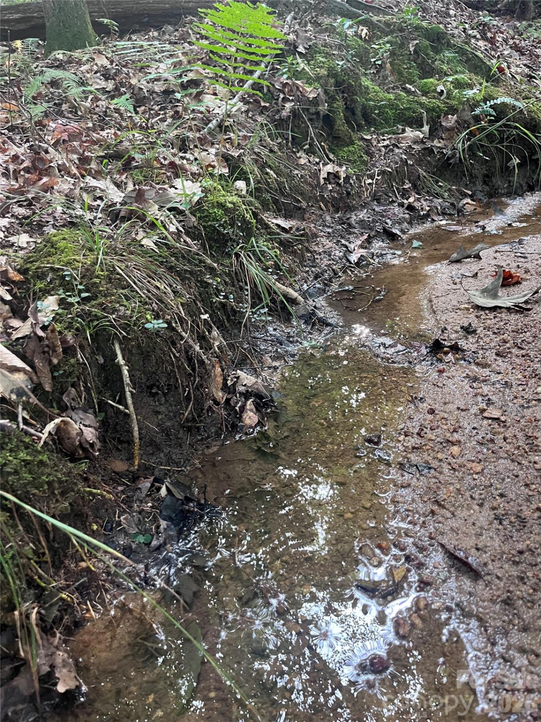 0 Shady Bark Lane #40 - Photo 28