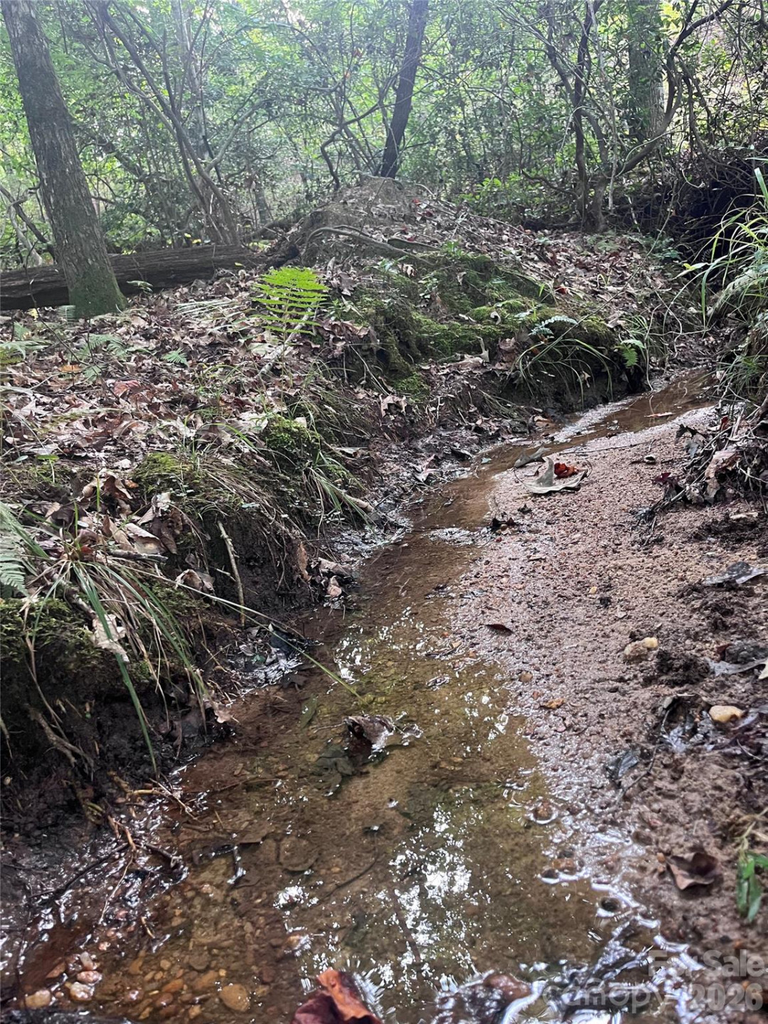 0 Shady Bark Lane #40 - Photo 29