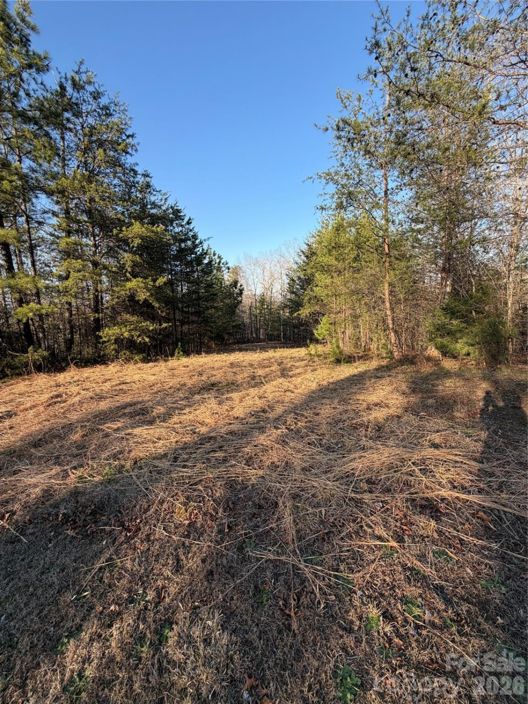 0 Shady Bark Lane #40 - Photo 30