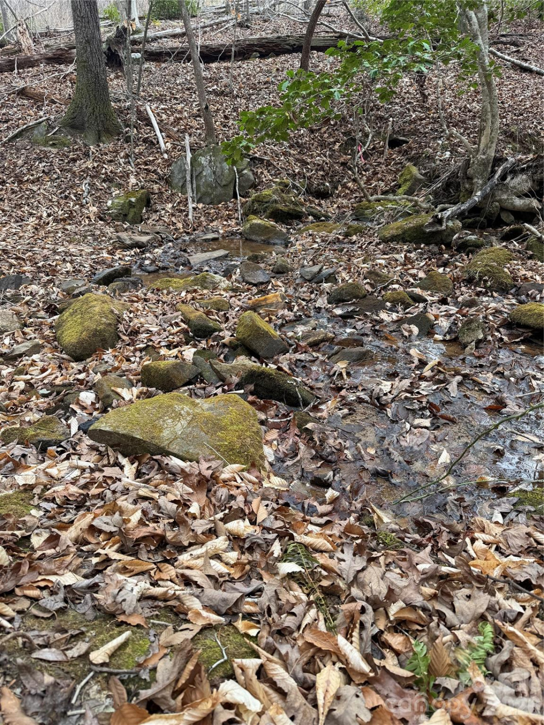 0 Shady Bark Lane #40 - Photo 4