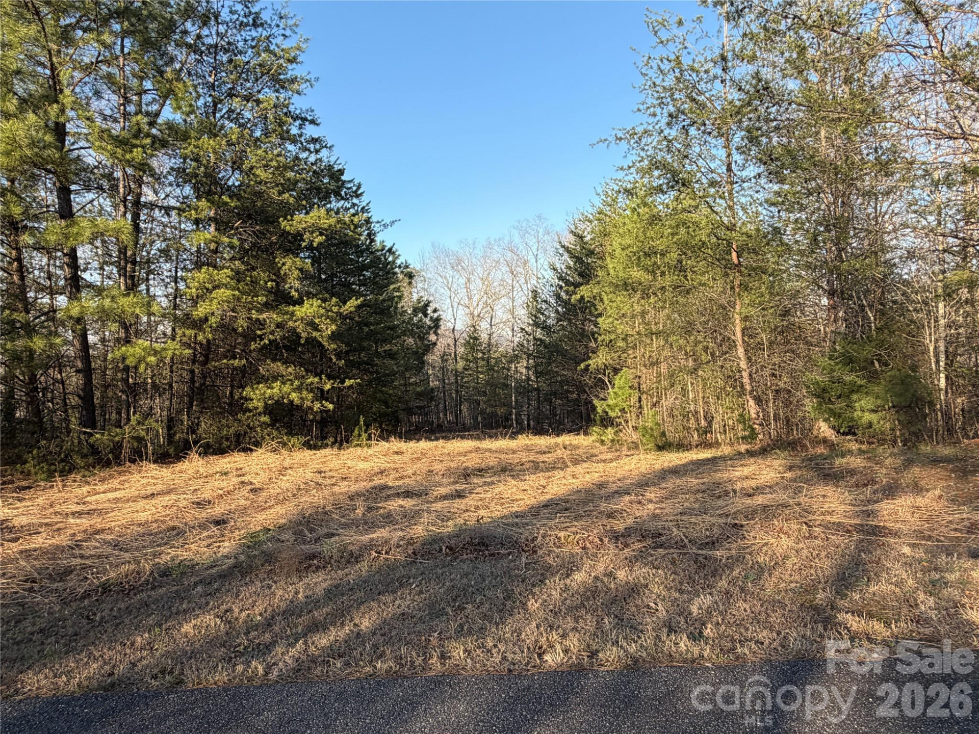 0 Shady Bark Lane #40 - Photo 31