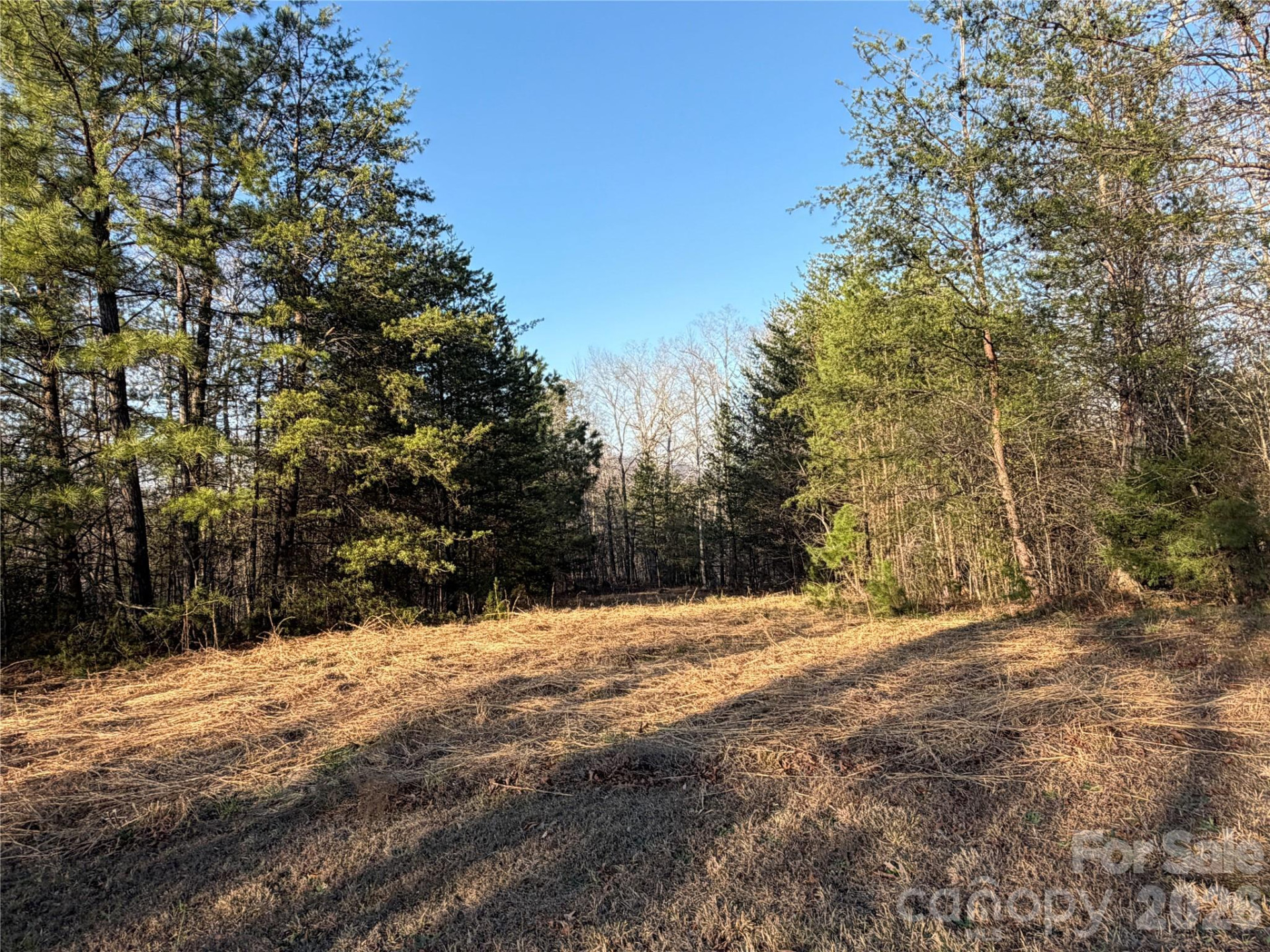 0 Shady Bark Lane #40 - Photo 32